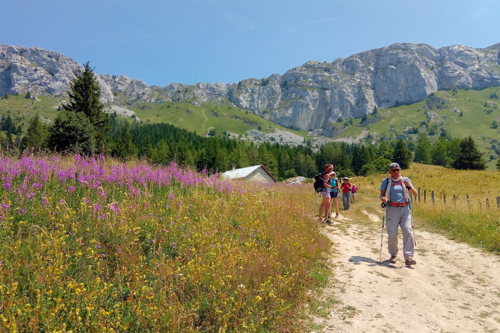 Escapade Estivale dans le Vercors