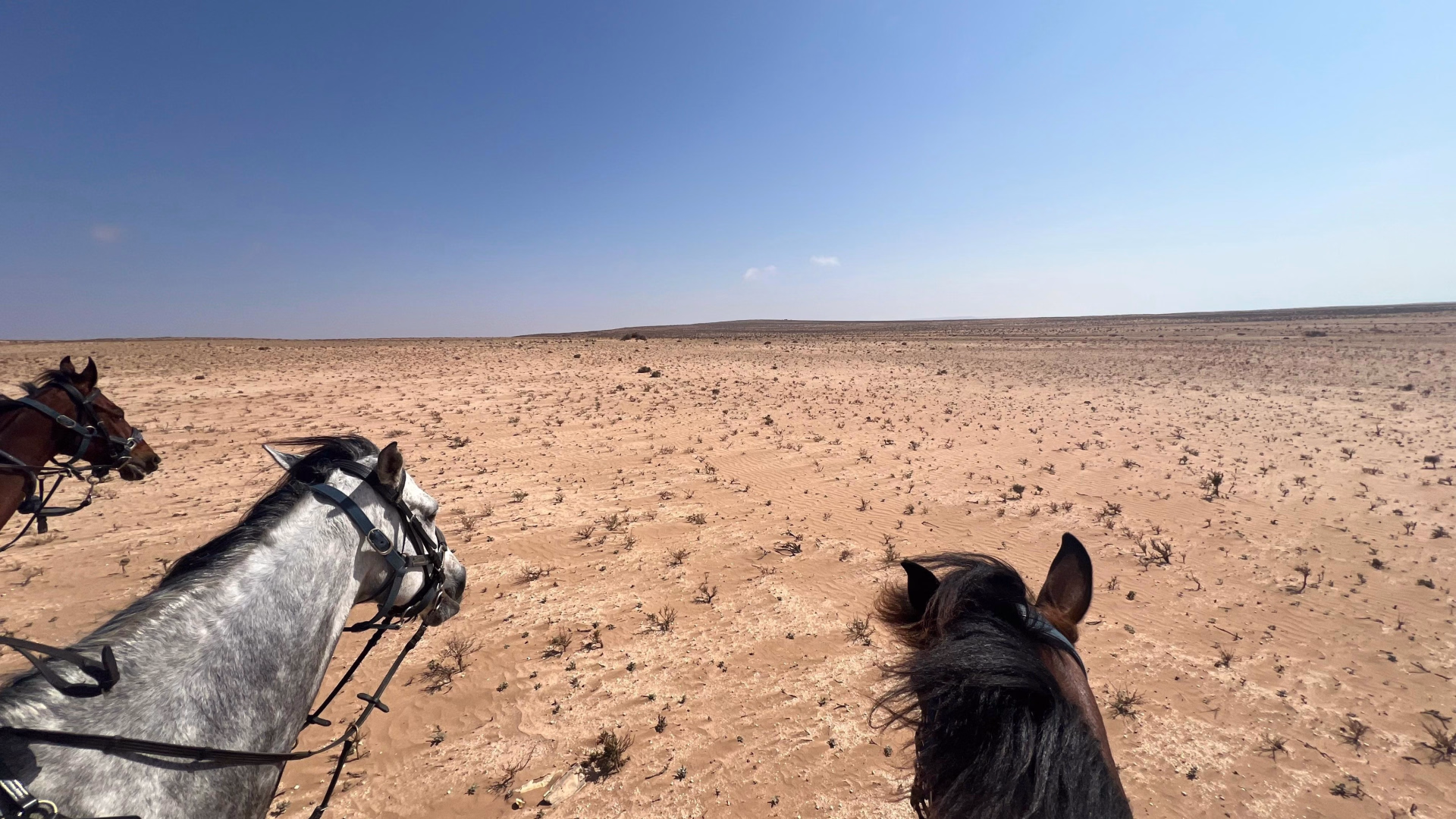 Le Grand Sud Marocain à Cheval : sur les Traces des Nomades Berbères