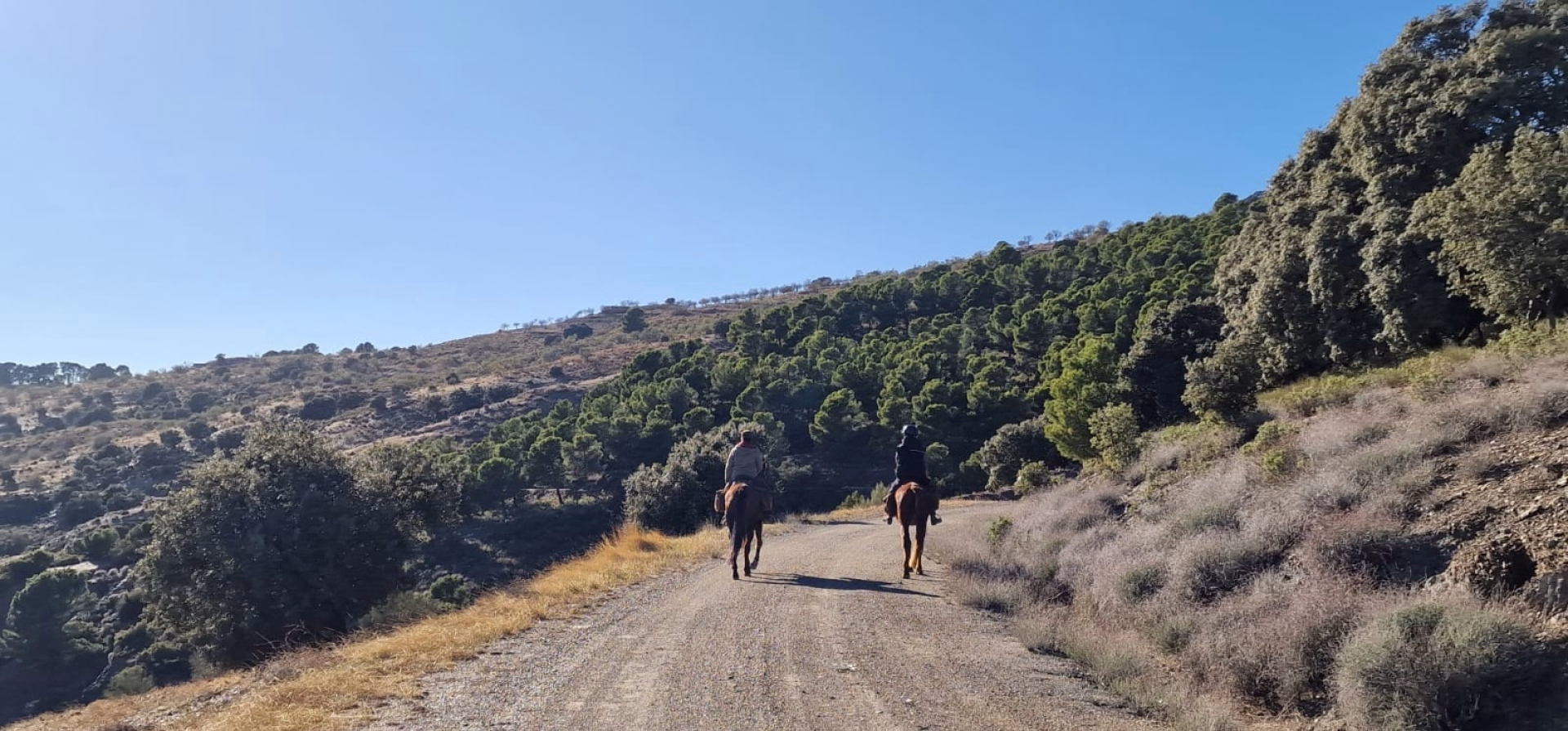 Aventure équestre dans le désert de Tabernas
