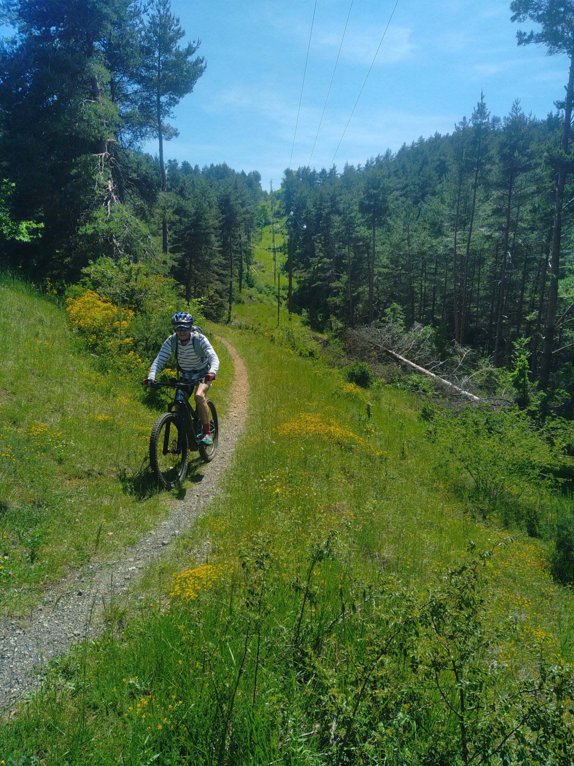 VTT dans les Cévennes : découverte de l'Aigoual et des Grands Causses