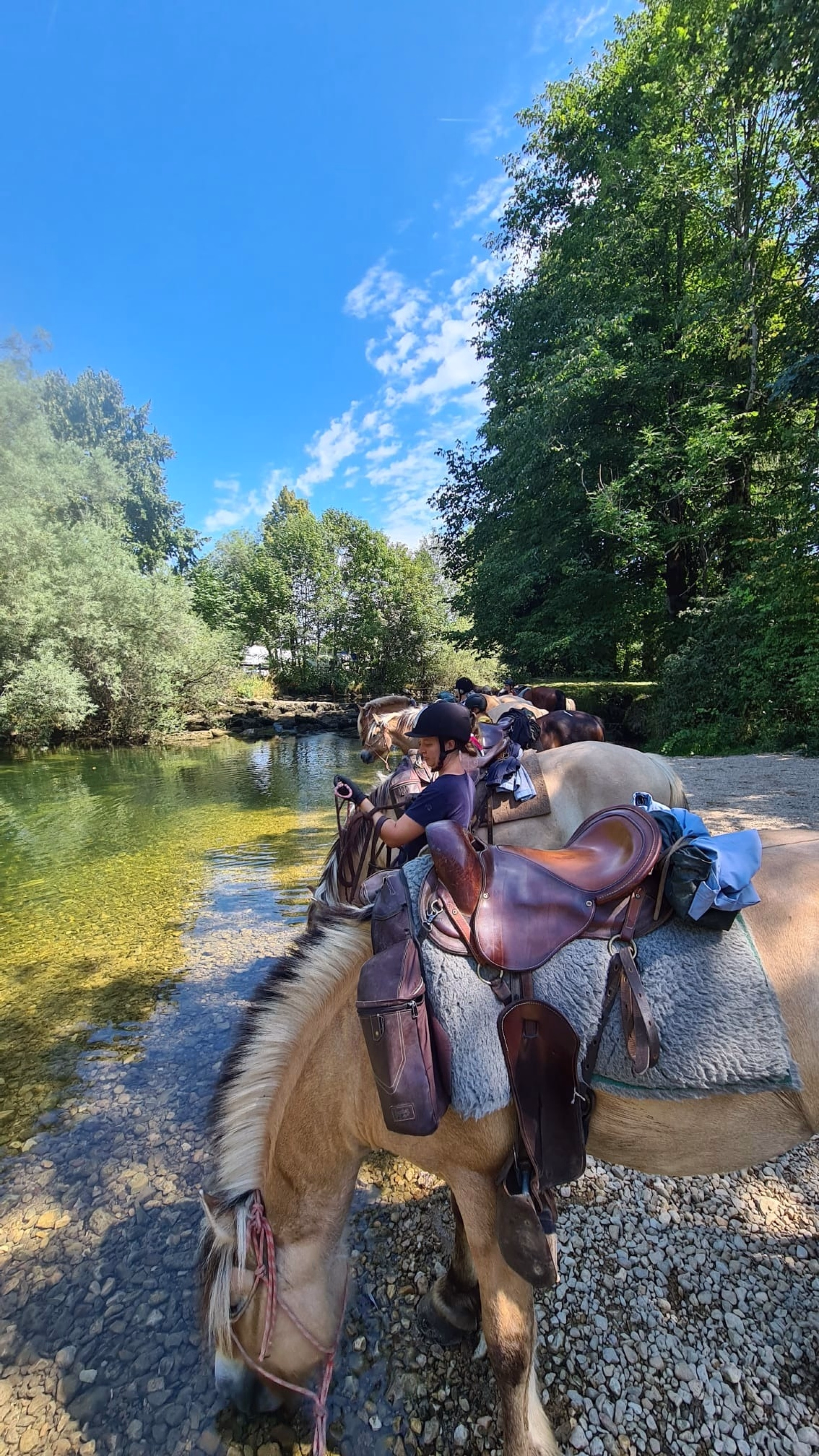 Rando à cheval au fil des lacs et cascades du Haut-Jura
