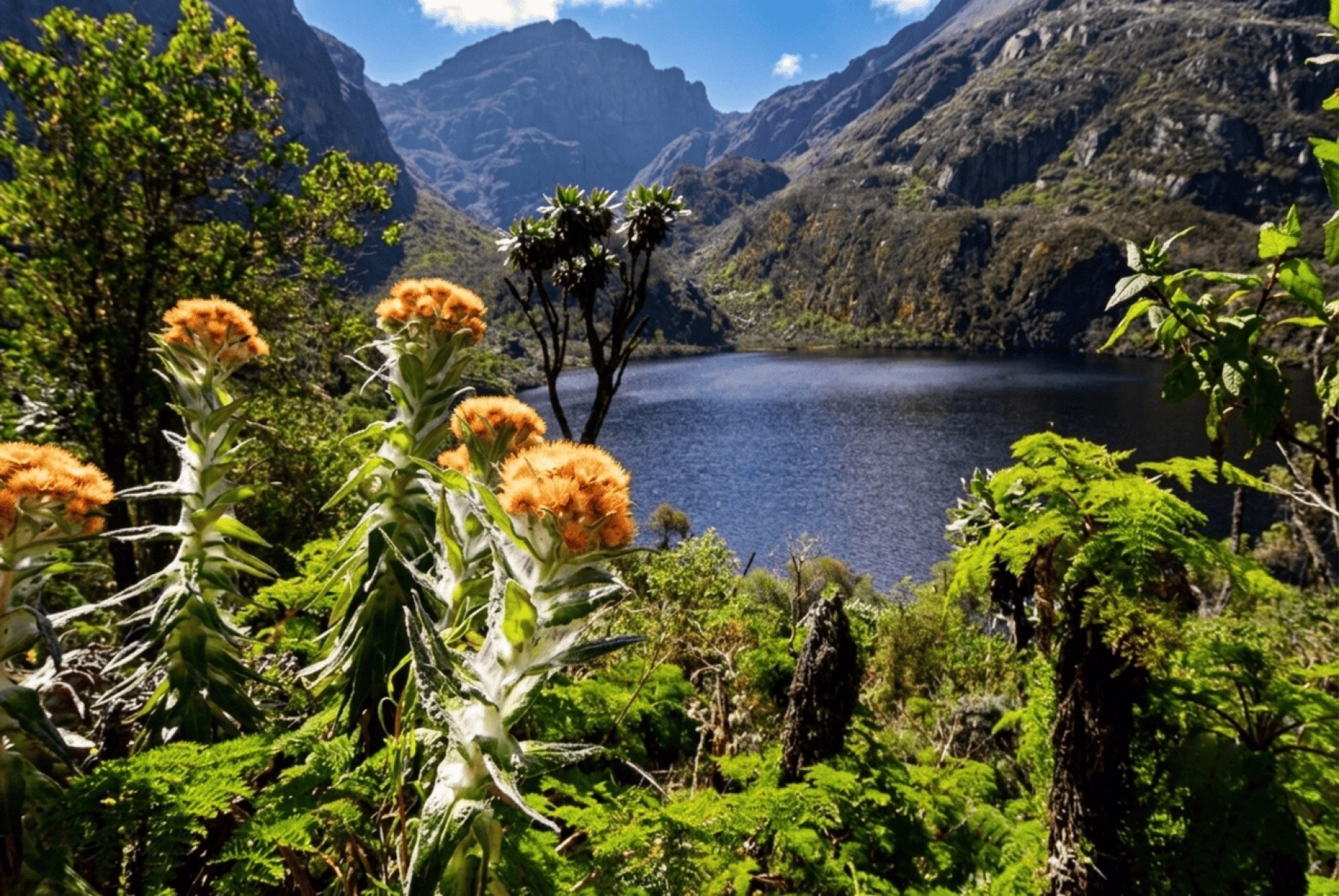 8 jours dans les montagnes du Rwenzori en Ouganda