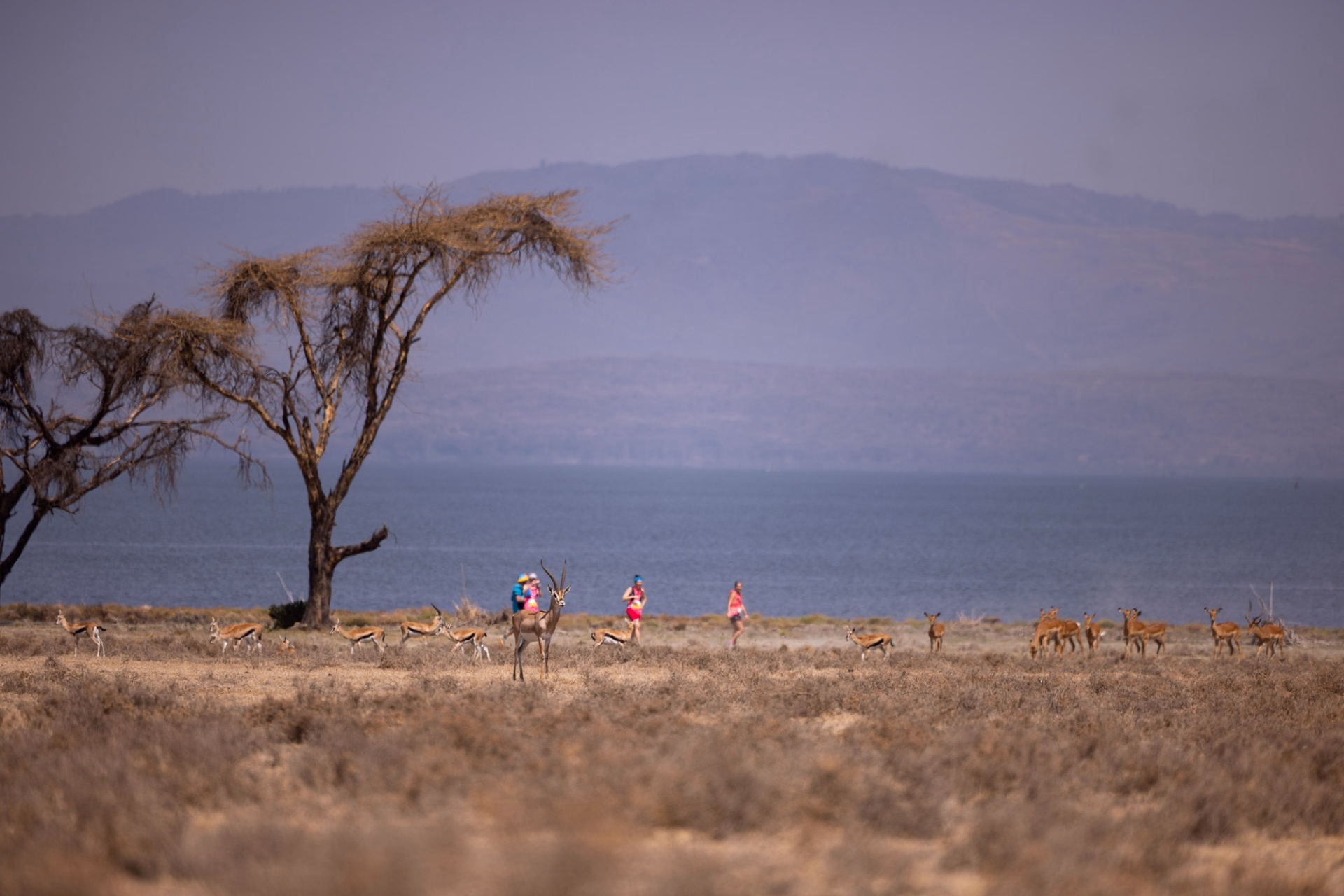Kimbia Kenya, course trail à étapes au cœur du Kenya