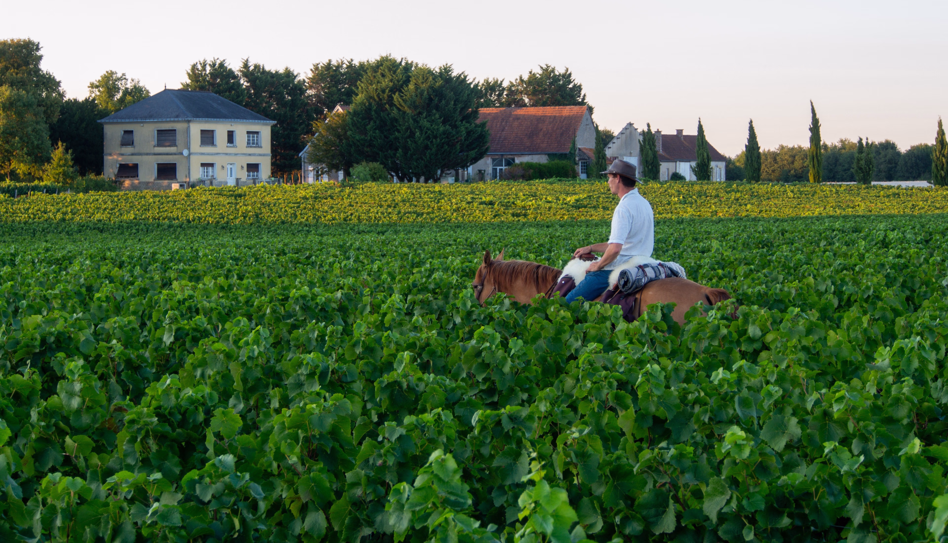 Week-end en Touraine à cheval entre châteaux et vignes