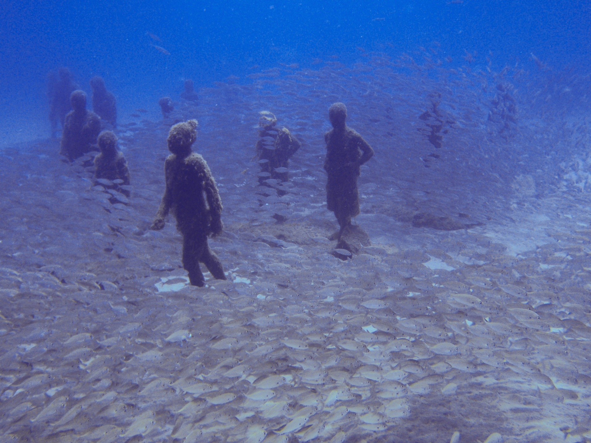 Découvrir la plongée au musée sous marin de Lanzarote
