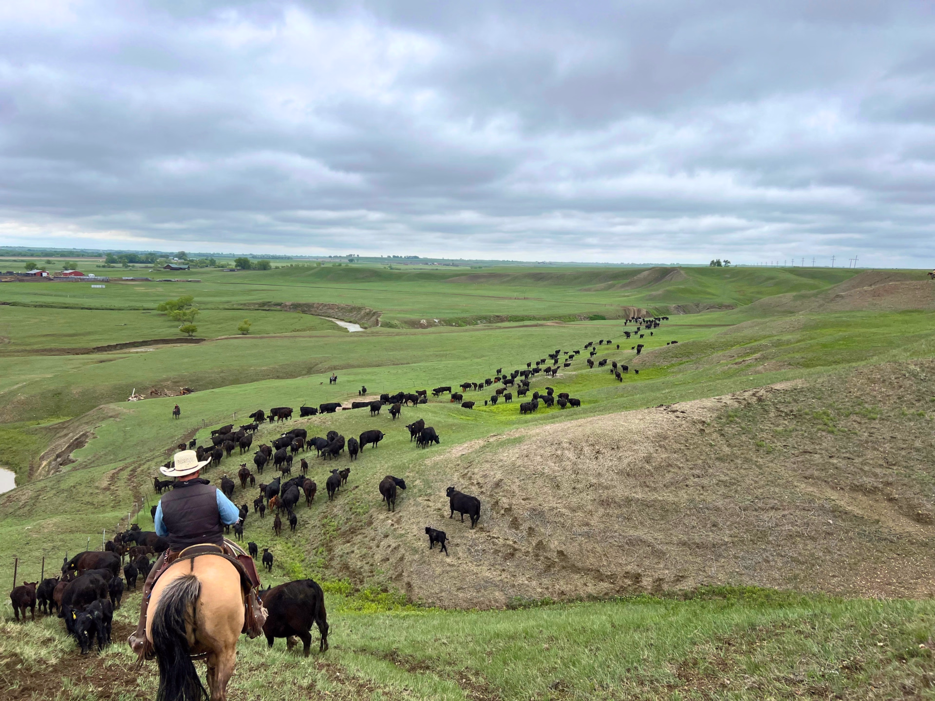 Immersion dans la vie des cowboys du Wyoming