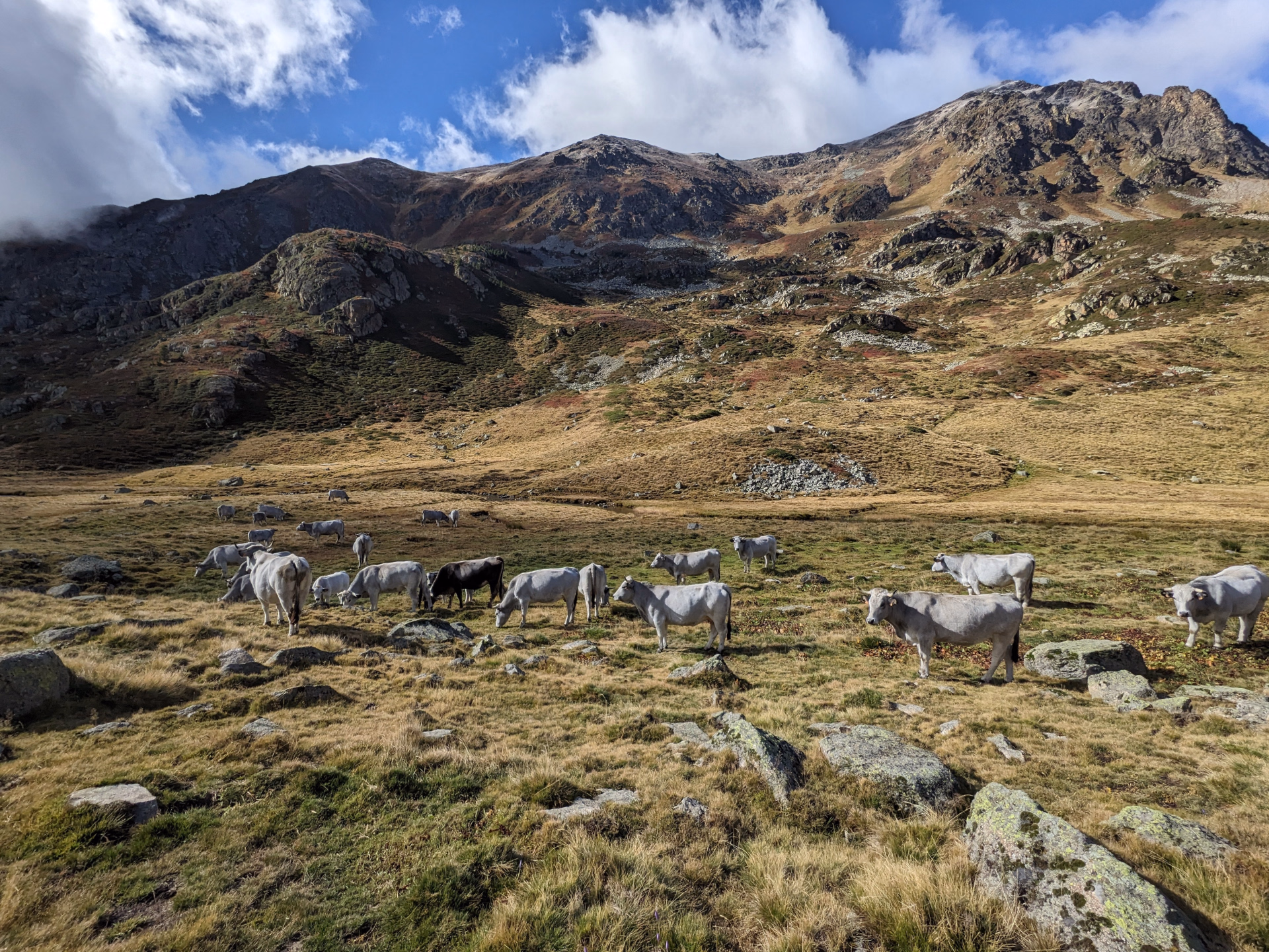 Photo paysage de montagne dans les Pyrénées © Photo paysage de montagne dans les Pyrénées