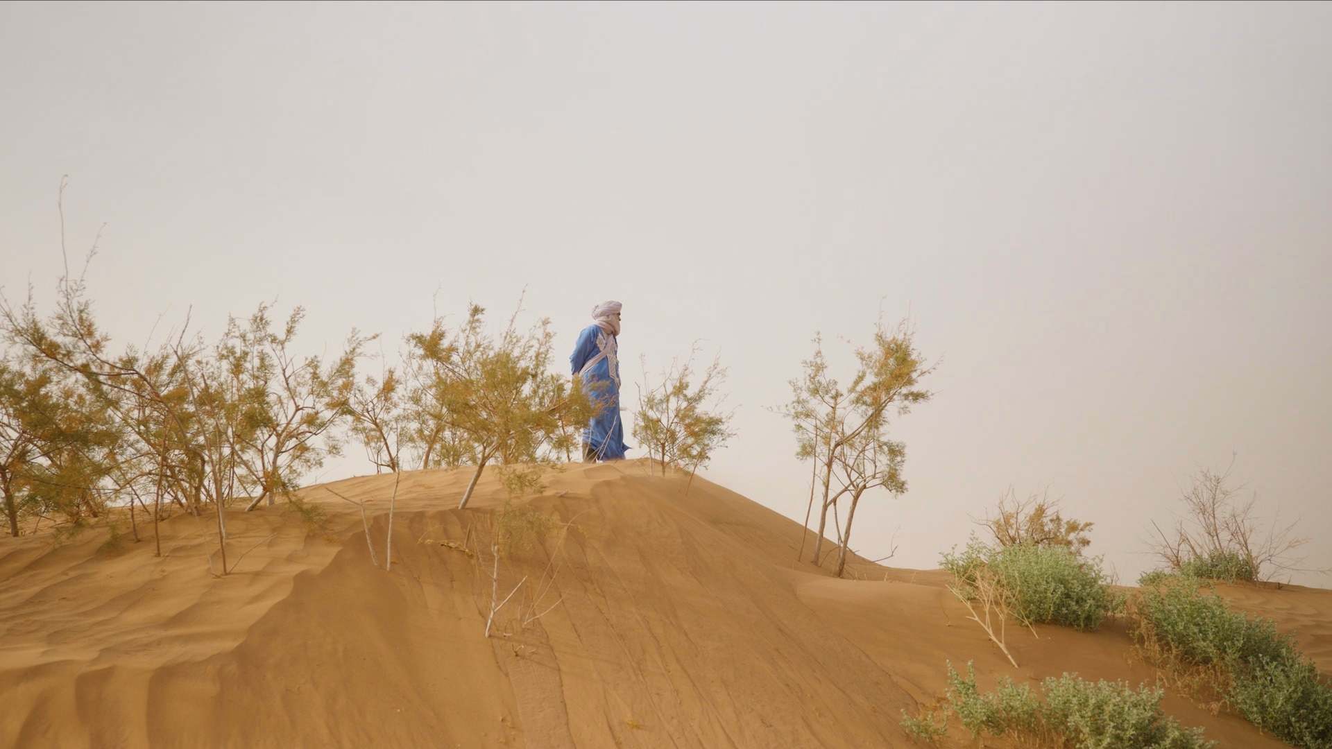 Séjour de 7 jours au départ de Marrakech : désert du Maroc et vallée