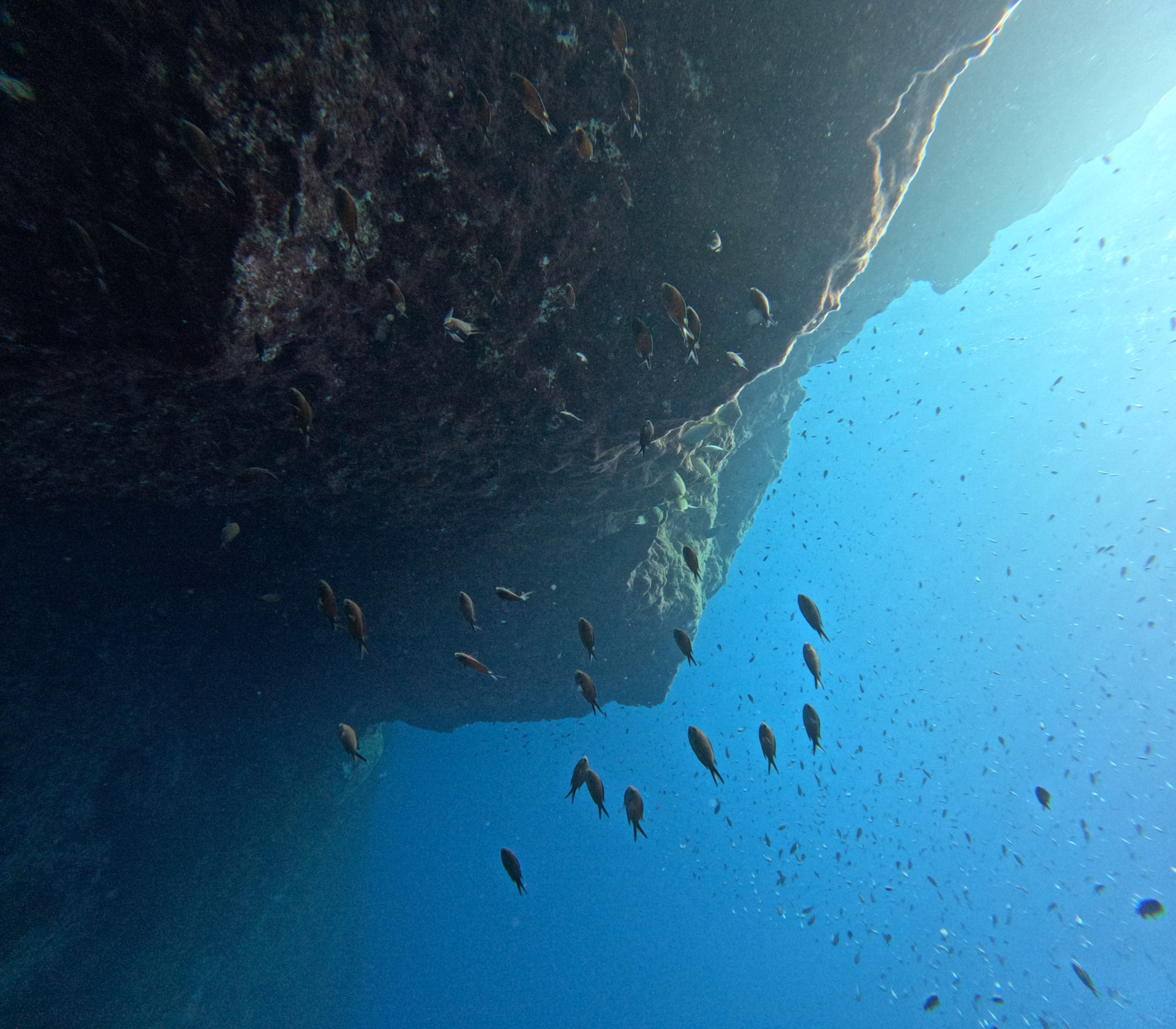 Open Water à Malte : plongez dans l’aventure dans les eaux turquoises