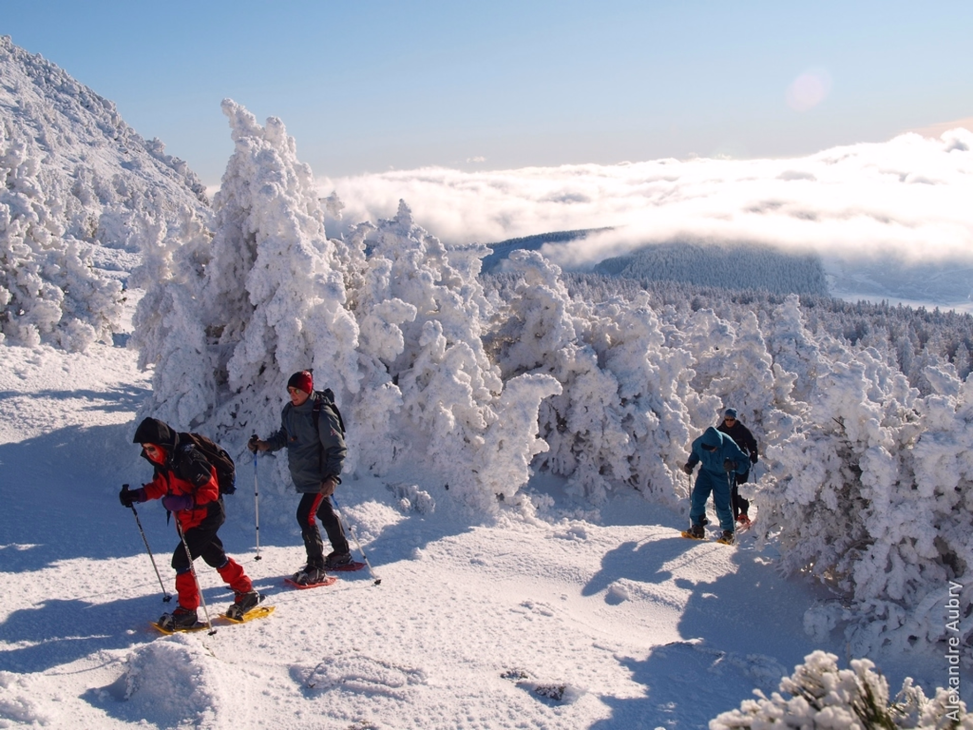 Séjour raquettes à la découverte du massif Mézenc-Gerbier