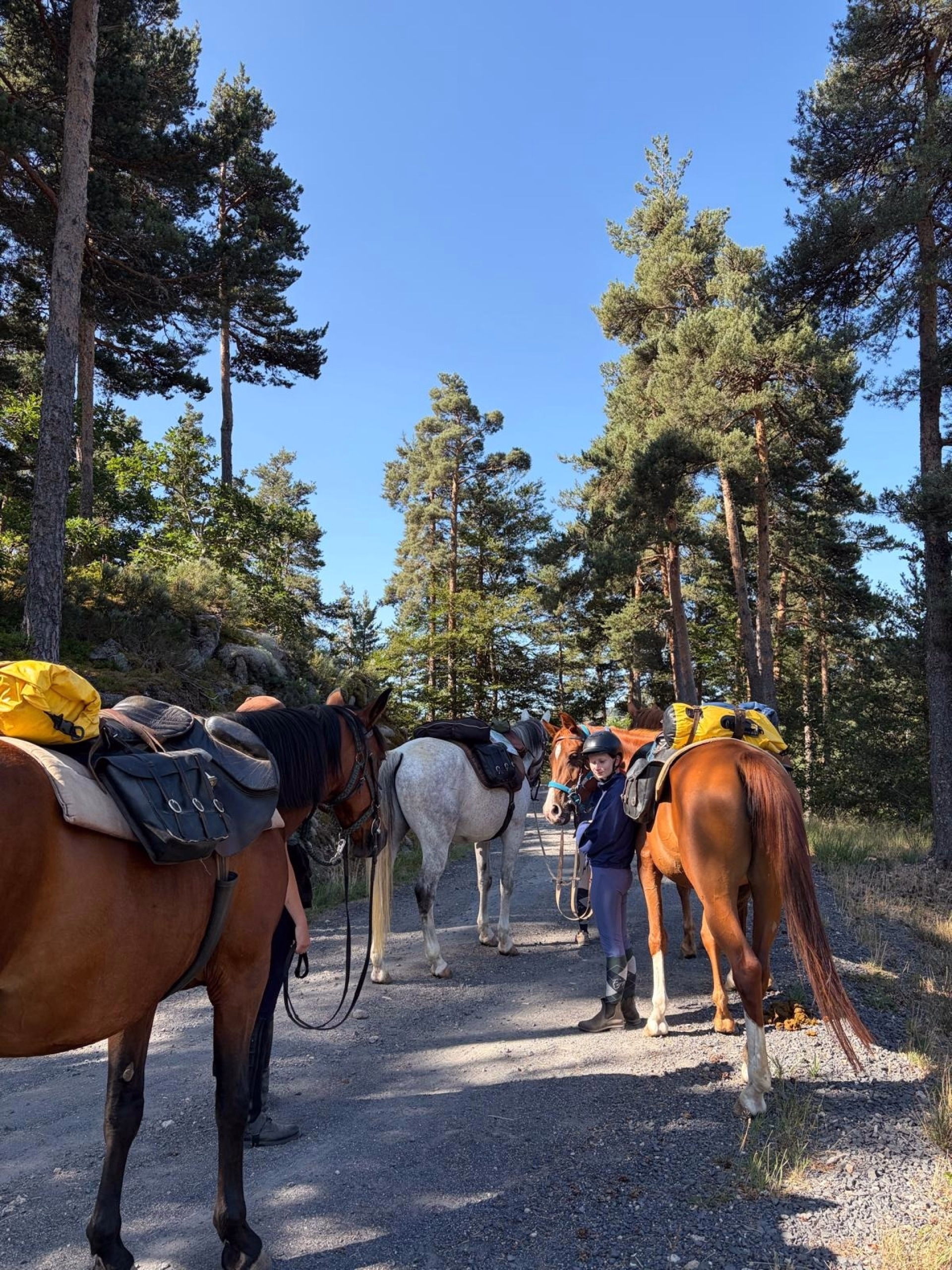 Aventure équestre en Lozère - Bon Plan pour les familles de cavaliers