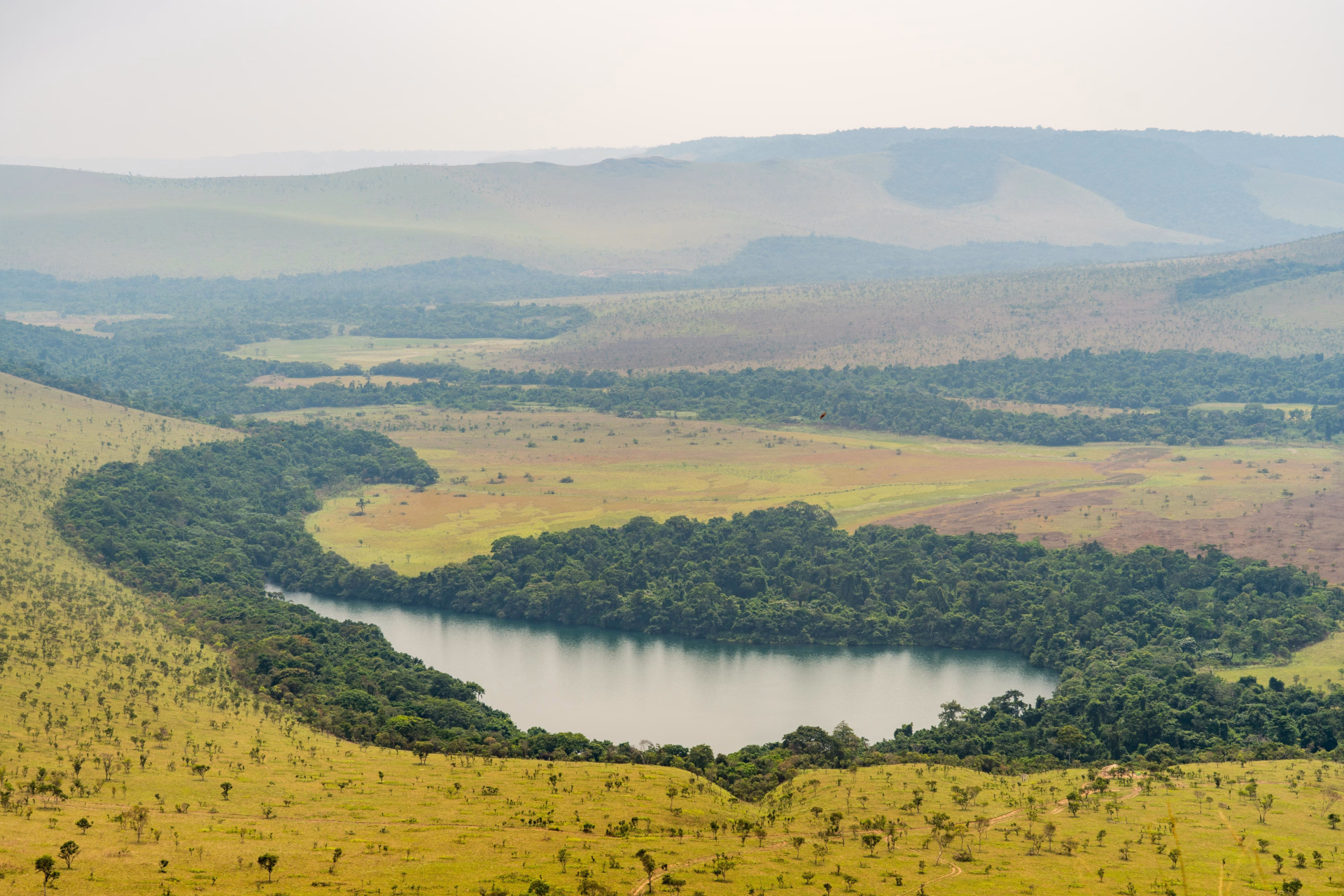 Multiactivités et rencontre avec les gorilles au Congo