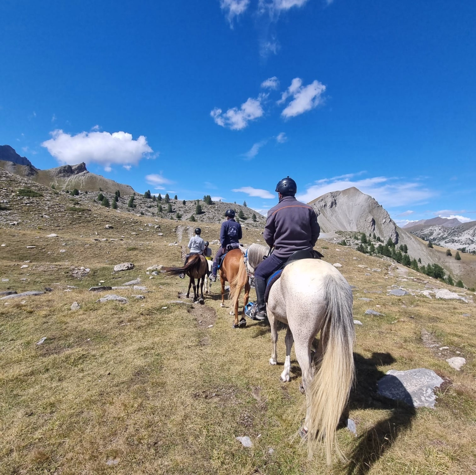 Trek des lacs et panoramas du Viso en Queyras