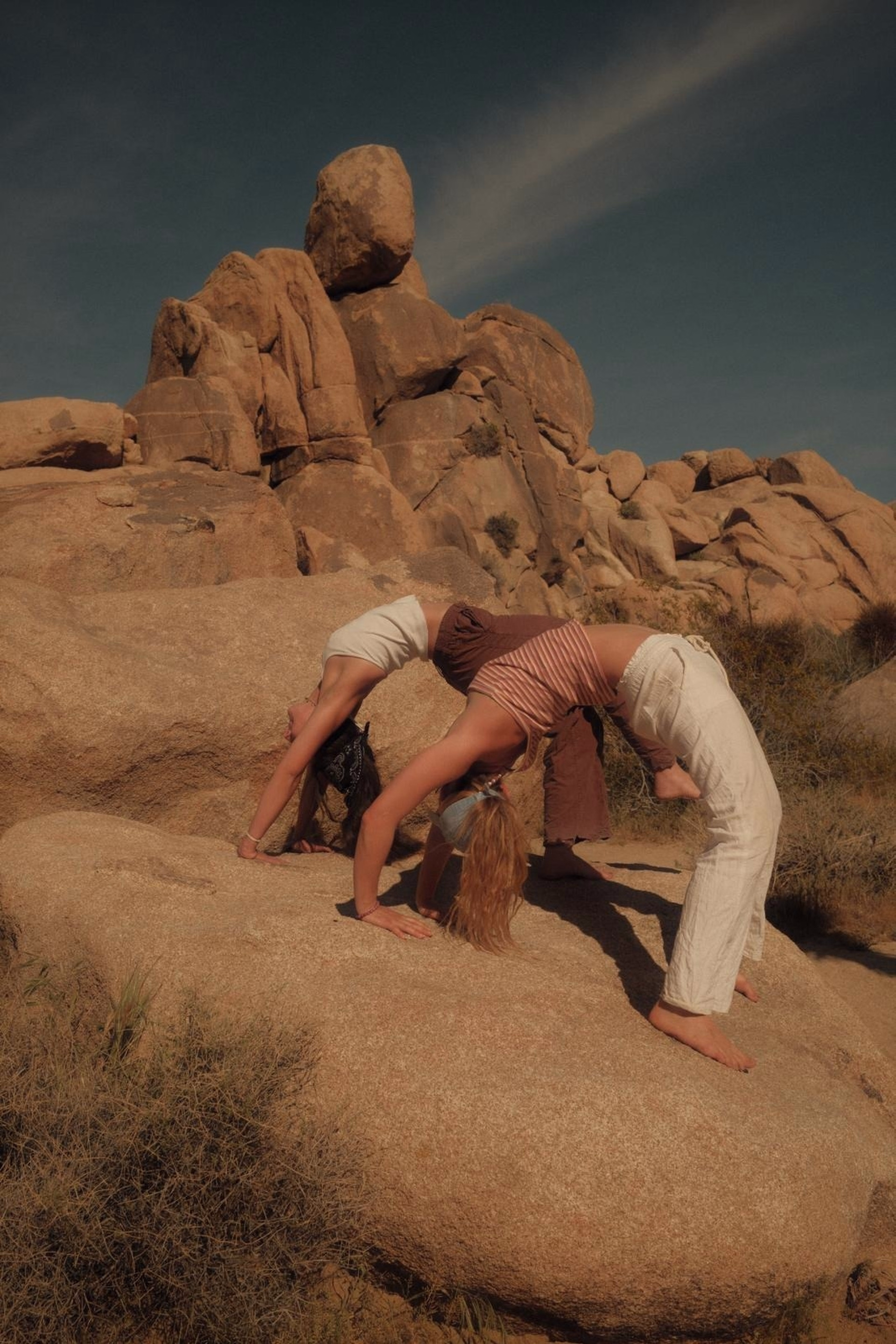 Désert sauvage — 6 jours de yoga & d'aventure à Joshua Tree