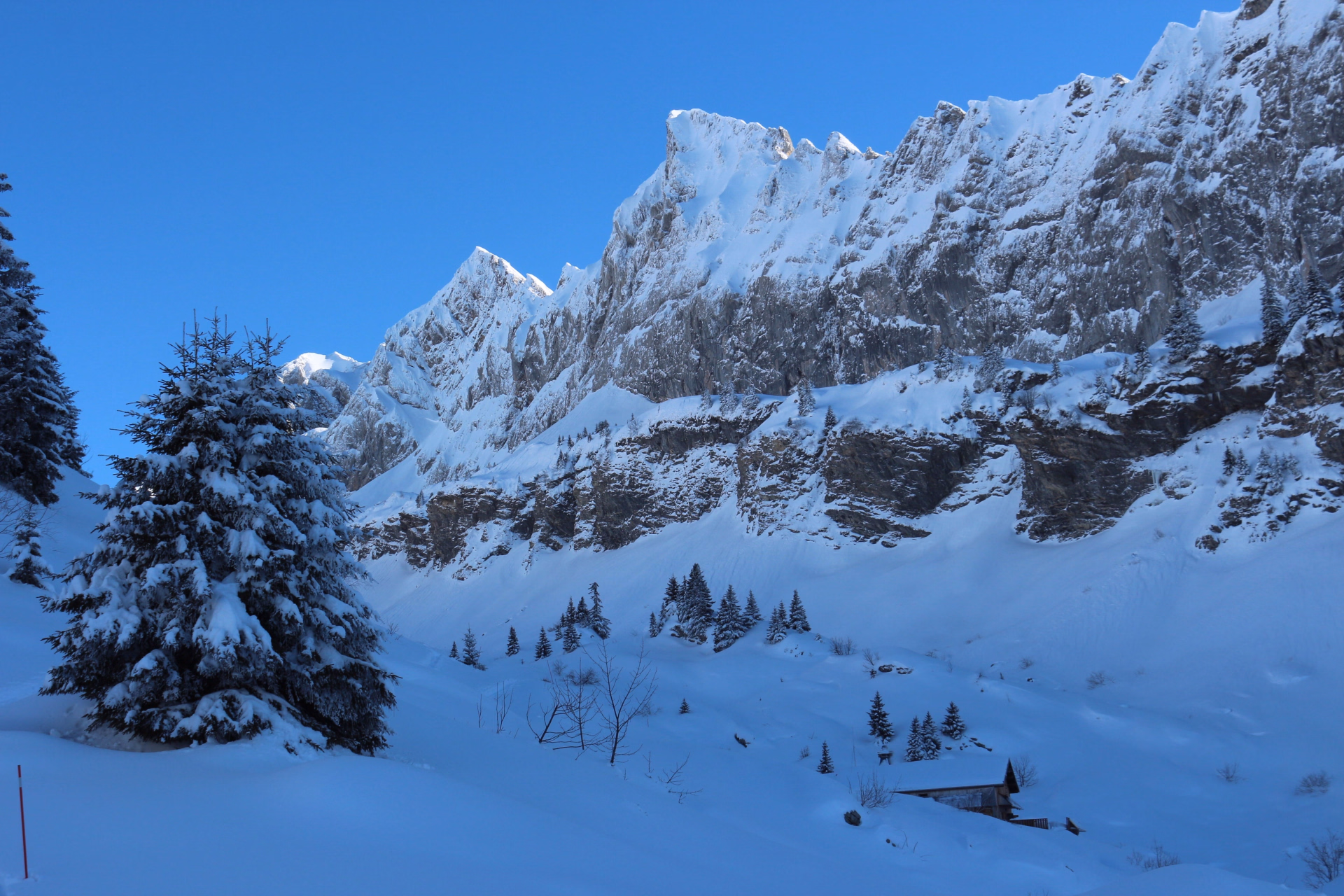 Raquettes dans le Haut-Giffre sur les hauteurs de Samoëns