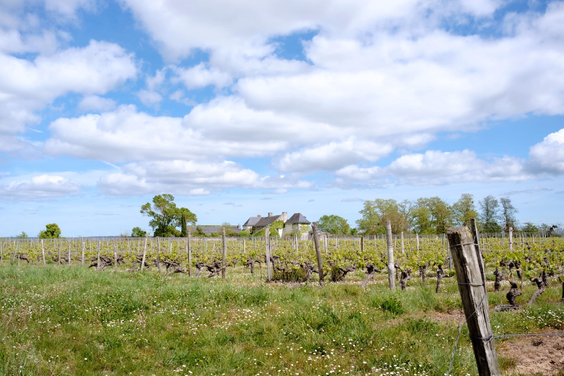 La Loire sauvage en packraft, entre eau et vignobles
