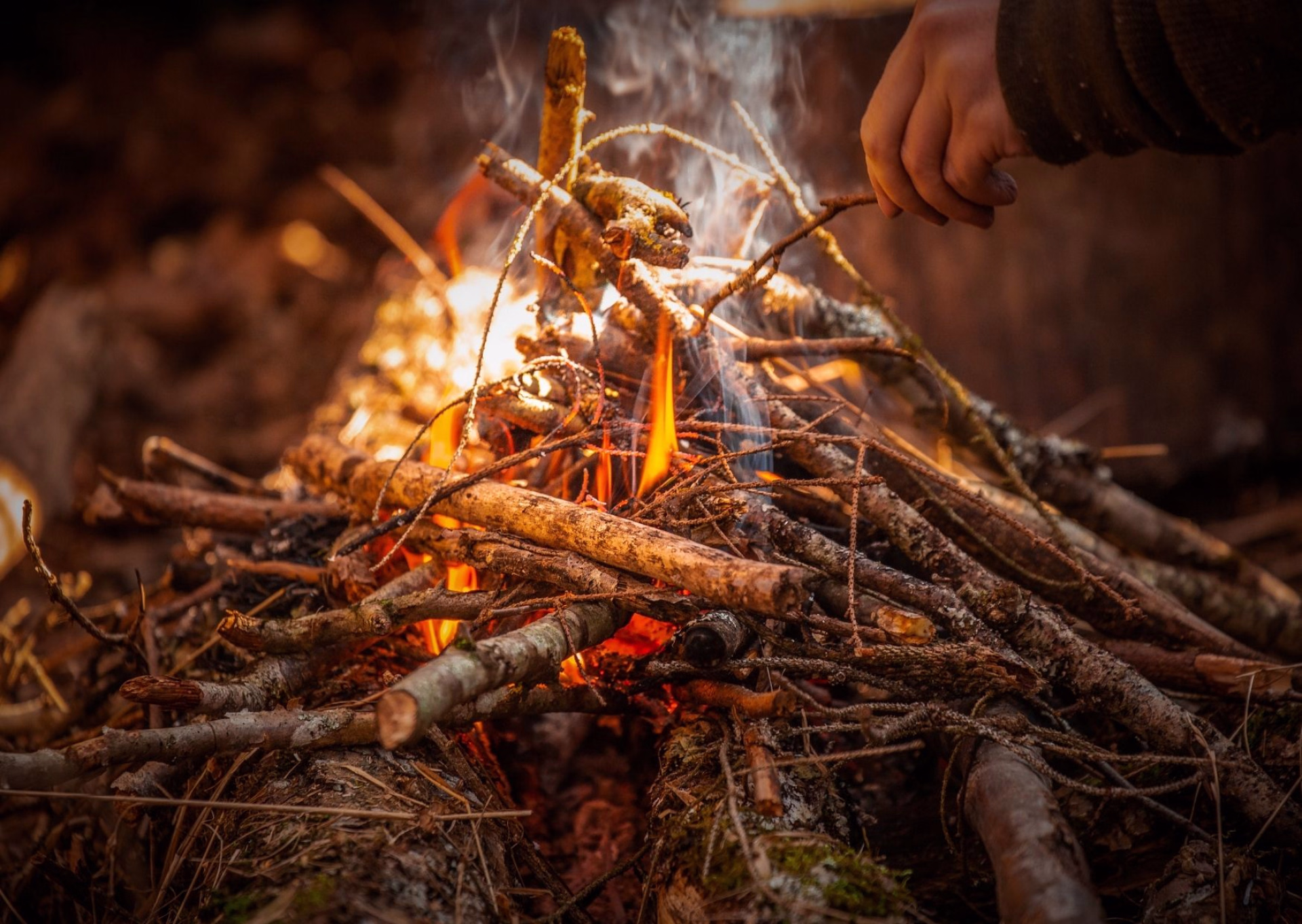 Stage de survie intensif en Bretagne
