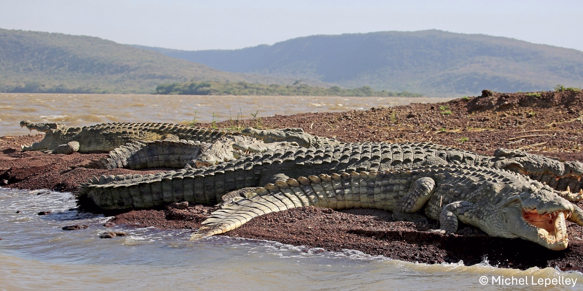Safari animalier et nature sauvage au cœur de l’Éthiopie
