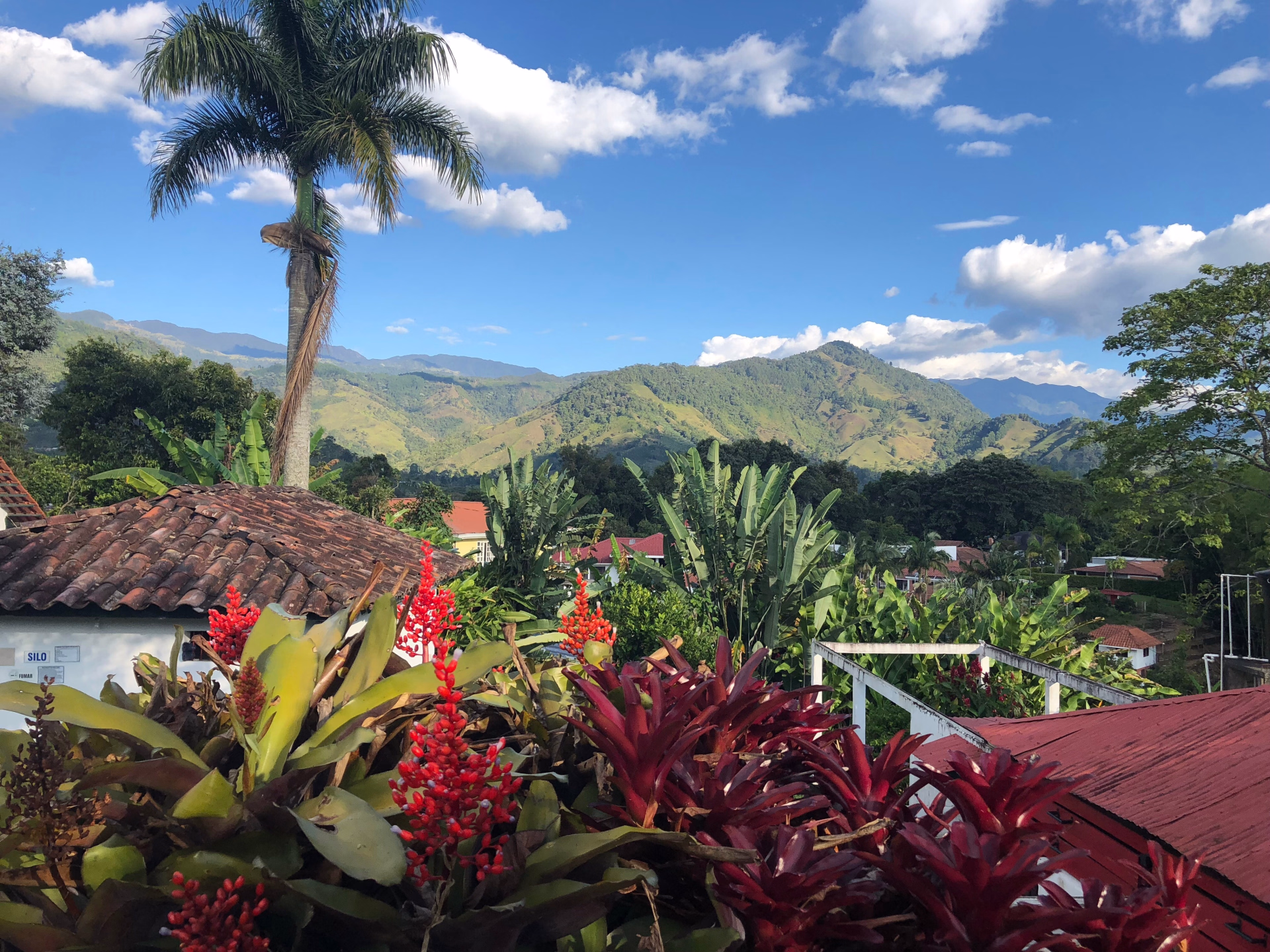 Ponts, volcans et routes du café : une épopée cycliste en Colombie