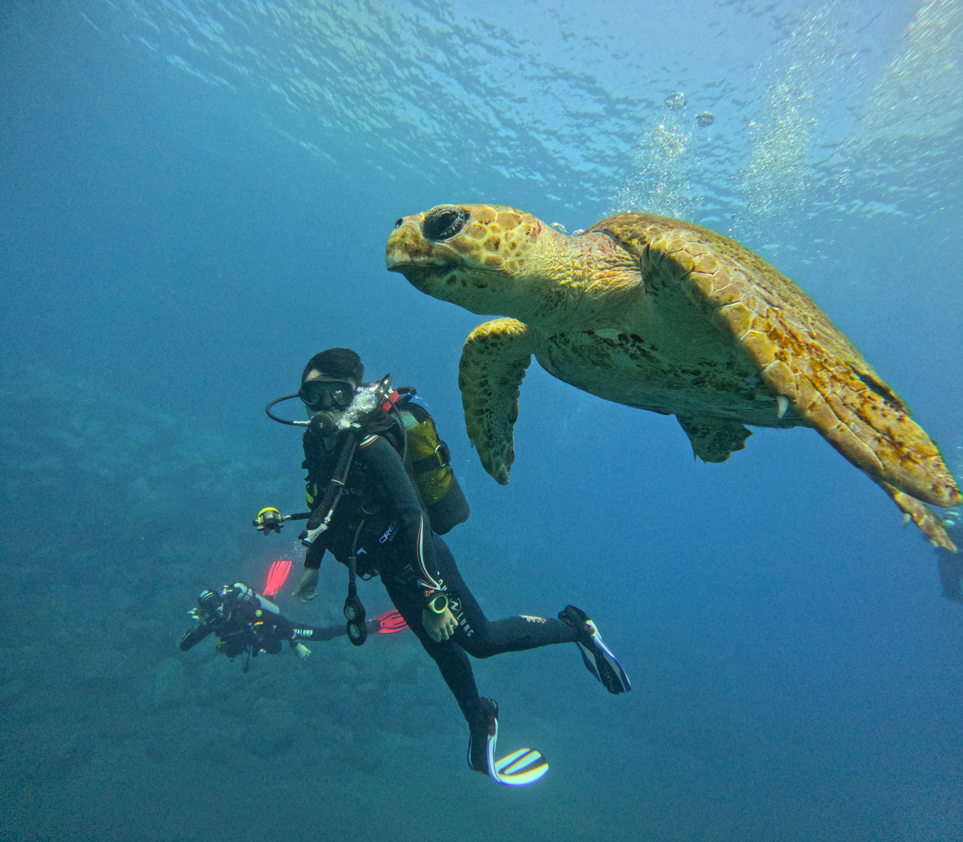 Première aventure sous-marine en famille à Tenerife