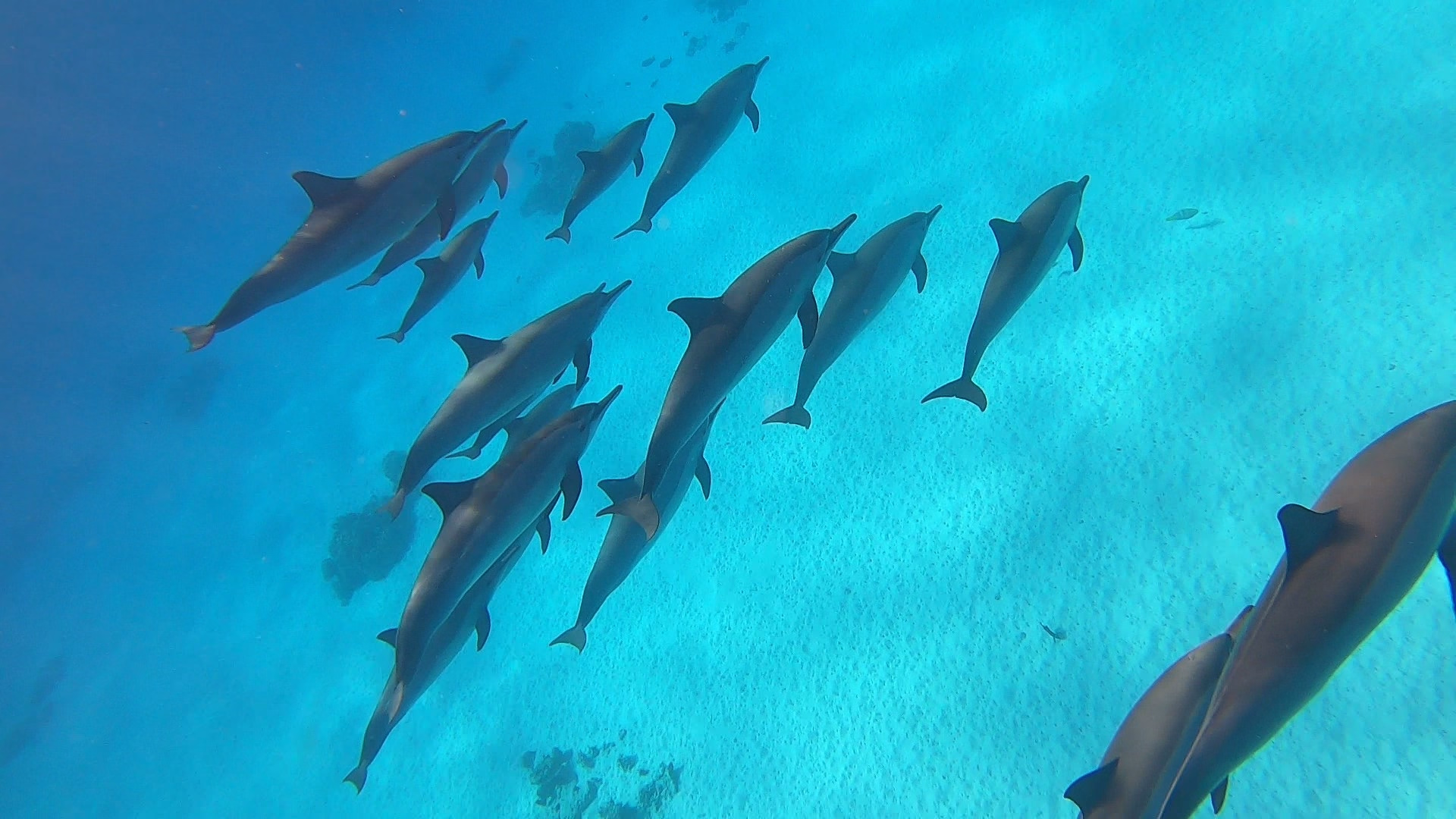Croisière Snorkeling en famille