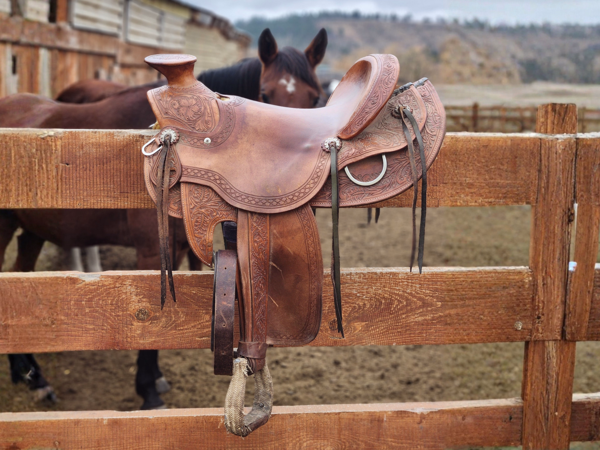 Immersion dans la vie des cowboys du Wyoming