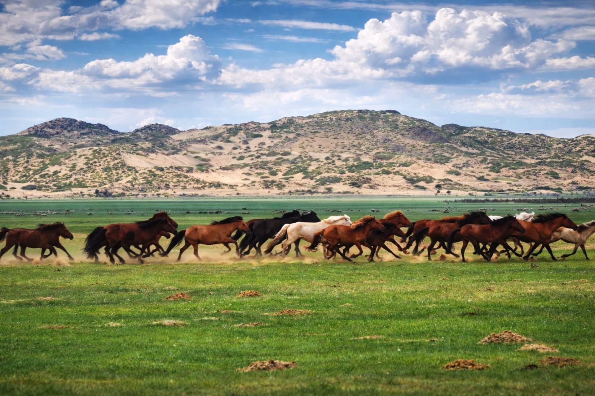 Randonnée à pied et à cheval nomade au cœur de la Mongolie
