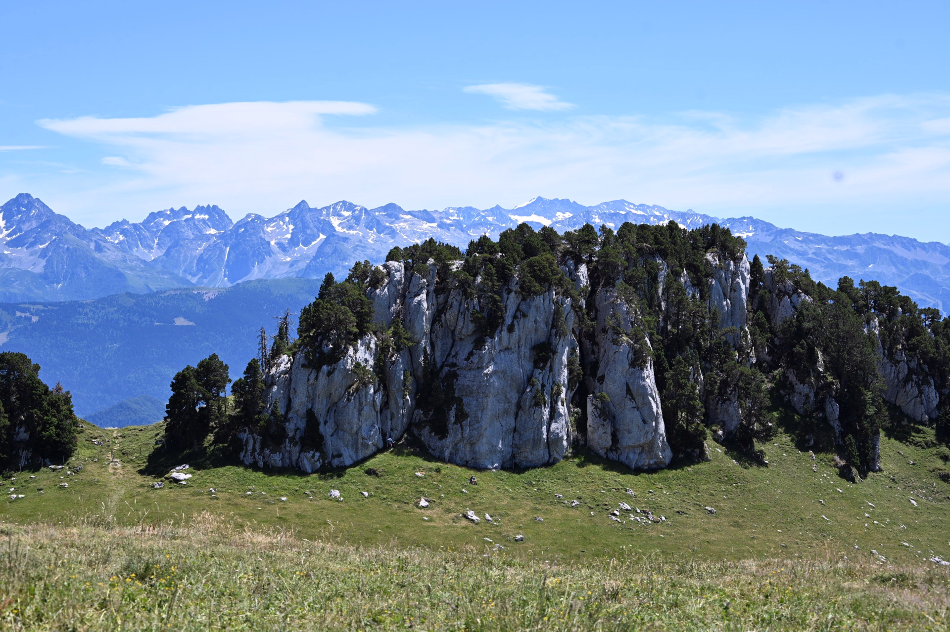Randonnée et flore alpine en Chartreuse