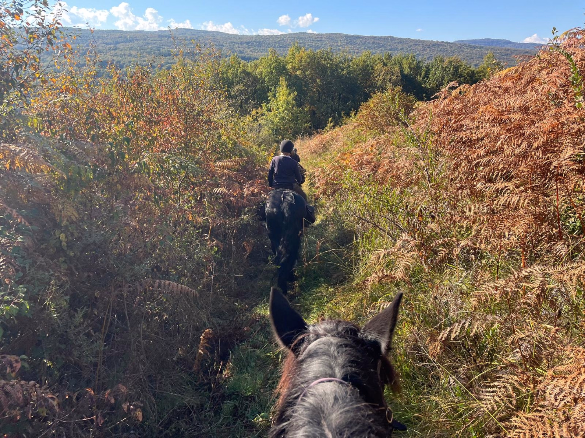 Belles demeures en Pyrénées cathares à cheval