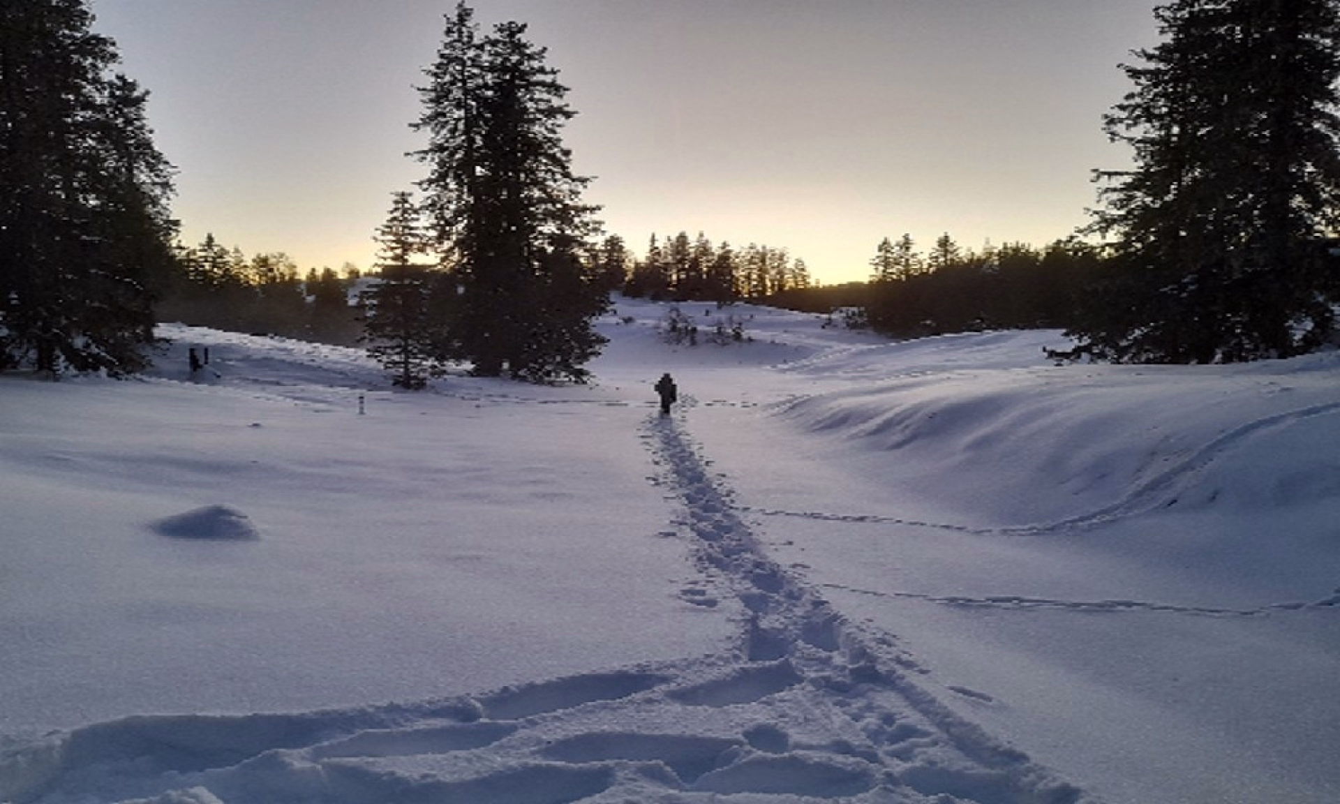 Randonnée en raquettes dans les Hautes Combes du Jura