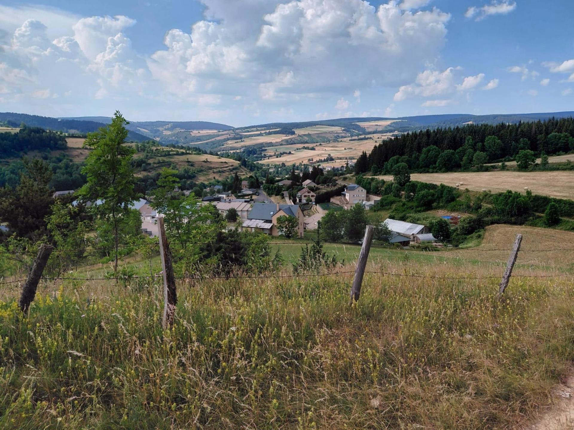 Randonnée à cheval en Lozère, de la Margeride au Mont Lozère