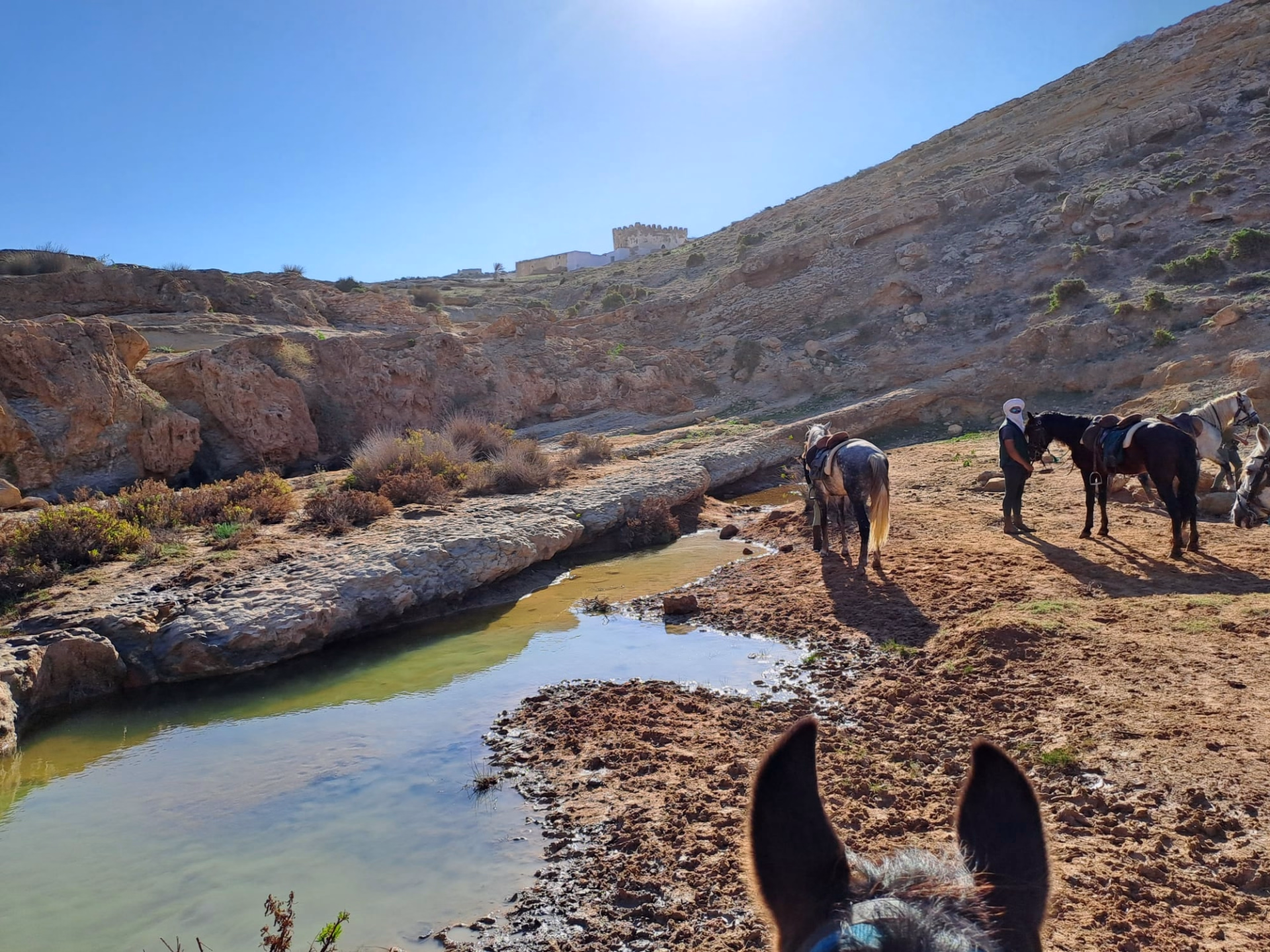 Randonnée équestre au Maroc : la Chevauchée au cœur d'Essaouira