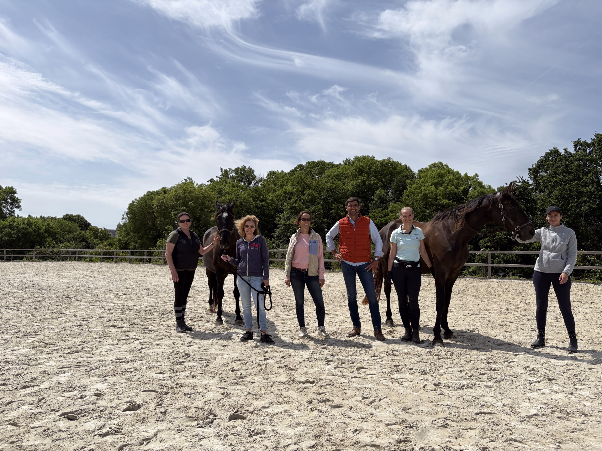 Stage d'équitation et travail à pied