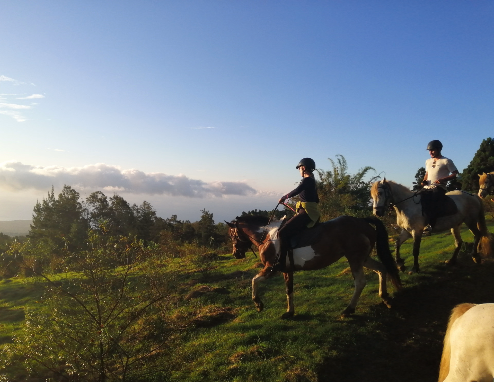 Randonnée à cheval au cœur sauvage de l’île de la Réunion