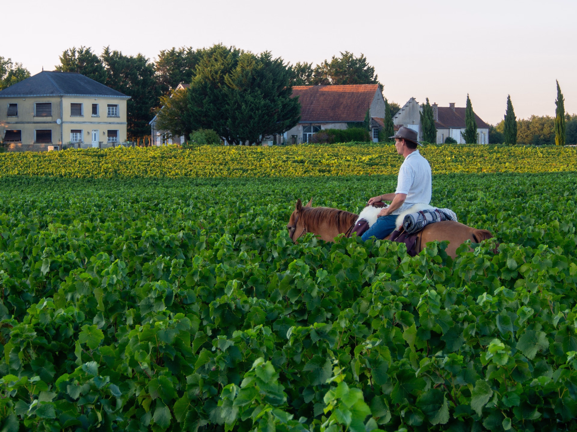 Randonnée à cheval de 2 jours avec Bivouac Royal