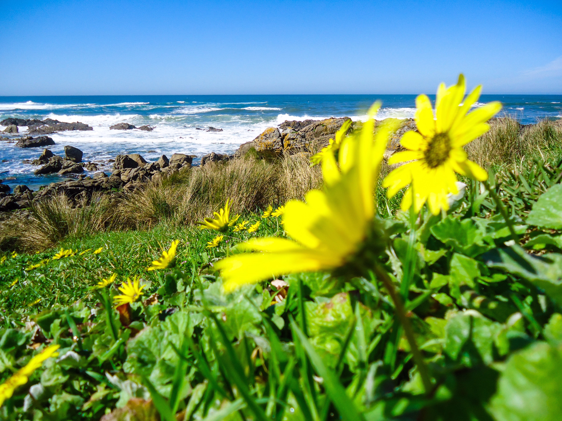 Les Chemins de Compostelle - Chemin Côtier de Oia à St Jacques