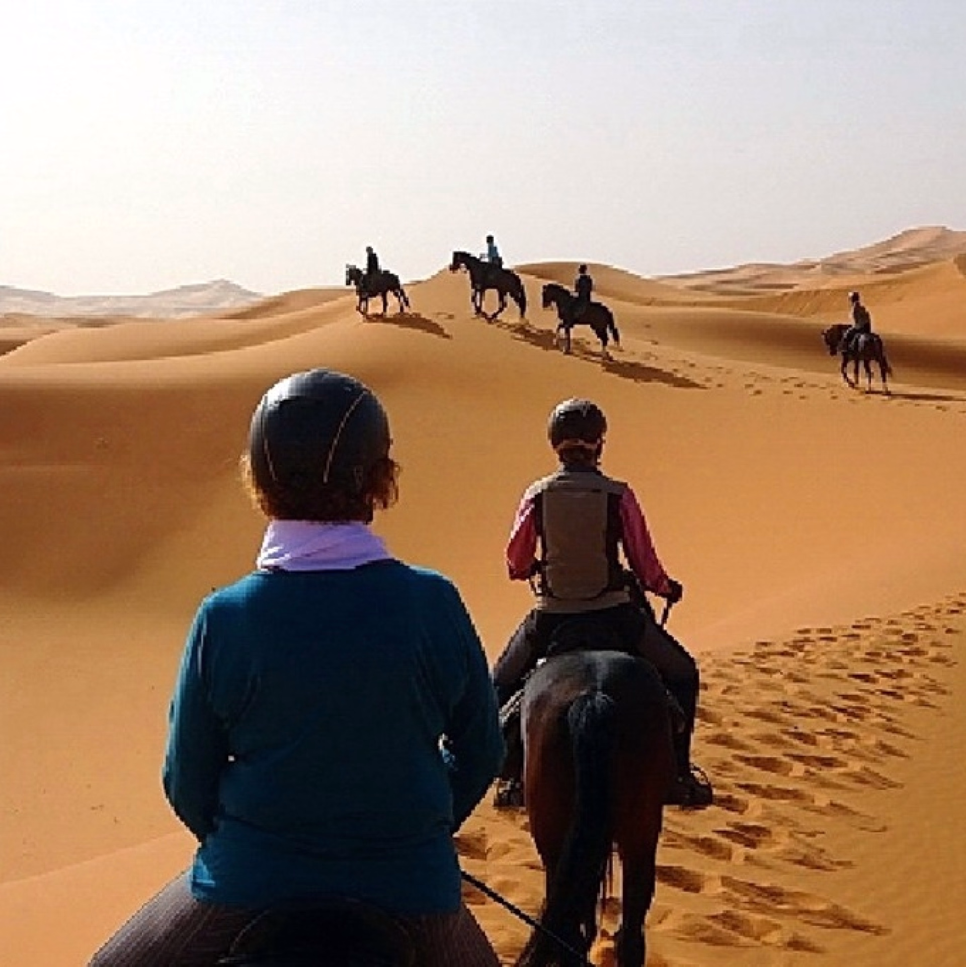 Expédition à cheval aux Portes du Sahara