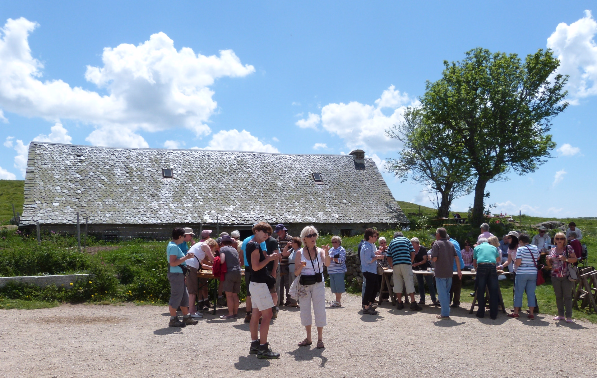 Vachement randonnée au coeur de l'Aubrac