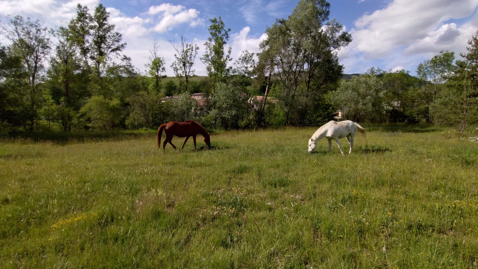 Tour des Monges à cheval