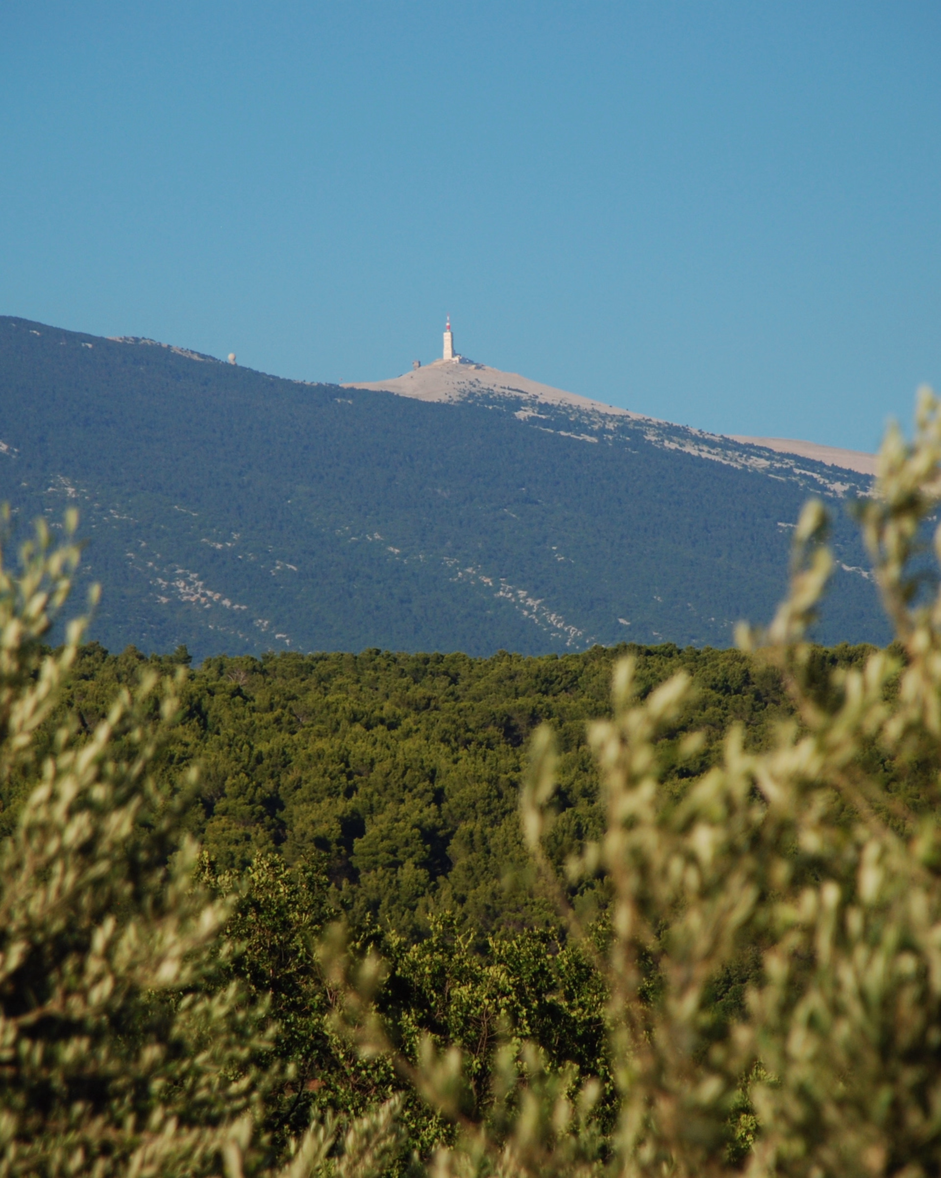 Ascension du Mont Ventoux : les 3 versants en deux jours
