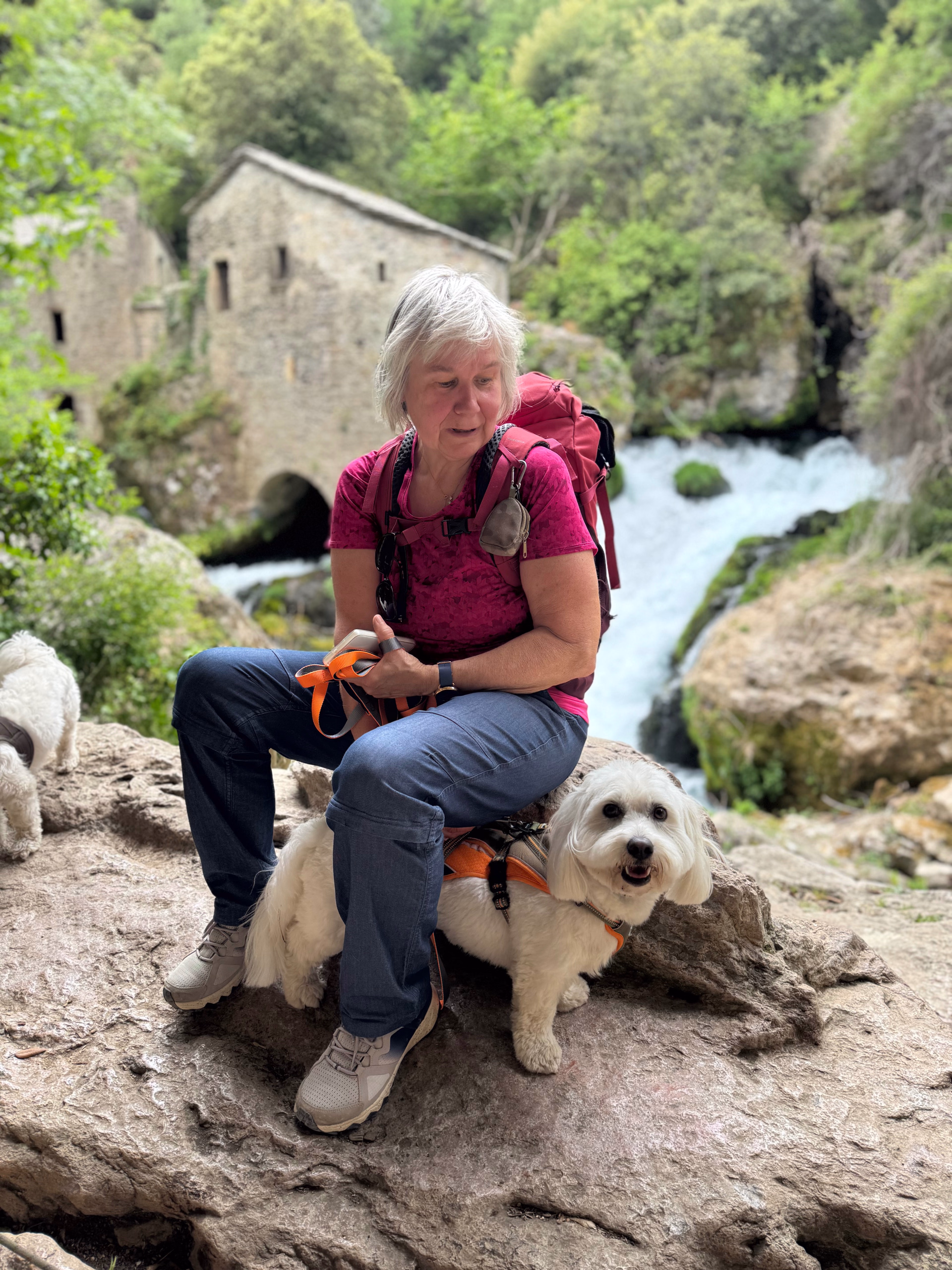Séjour randonnée et doga dans le Gard avec votre chien