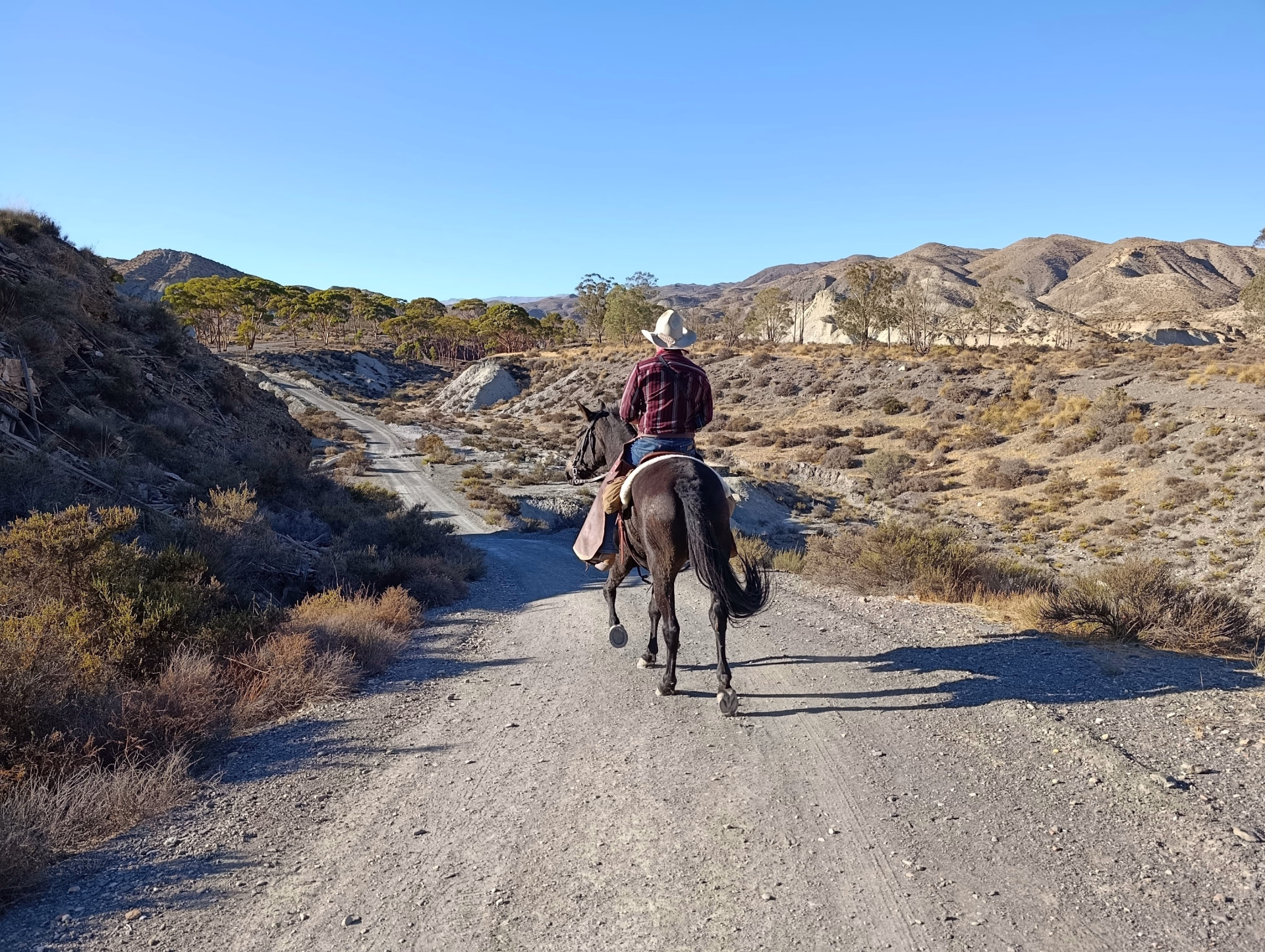 Aventure équestre dans le désert de Tabernas