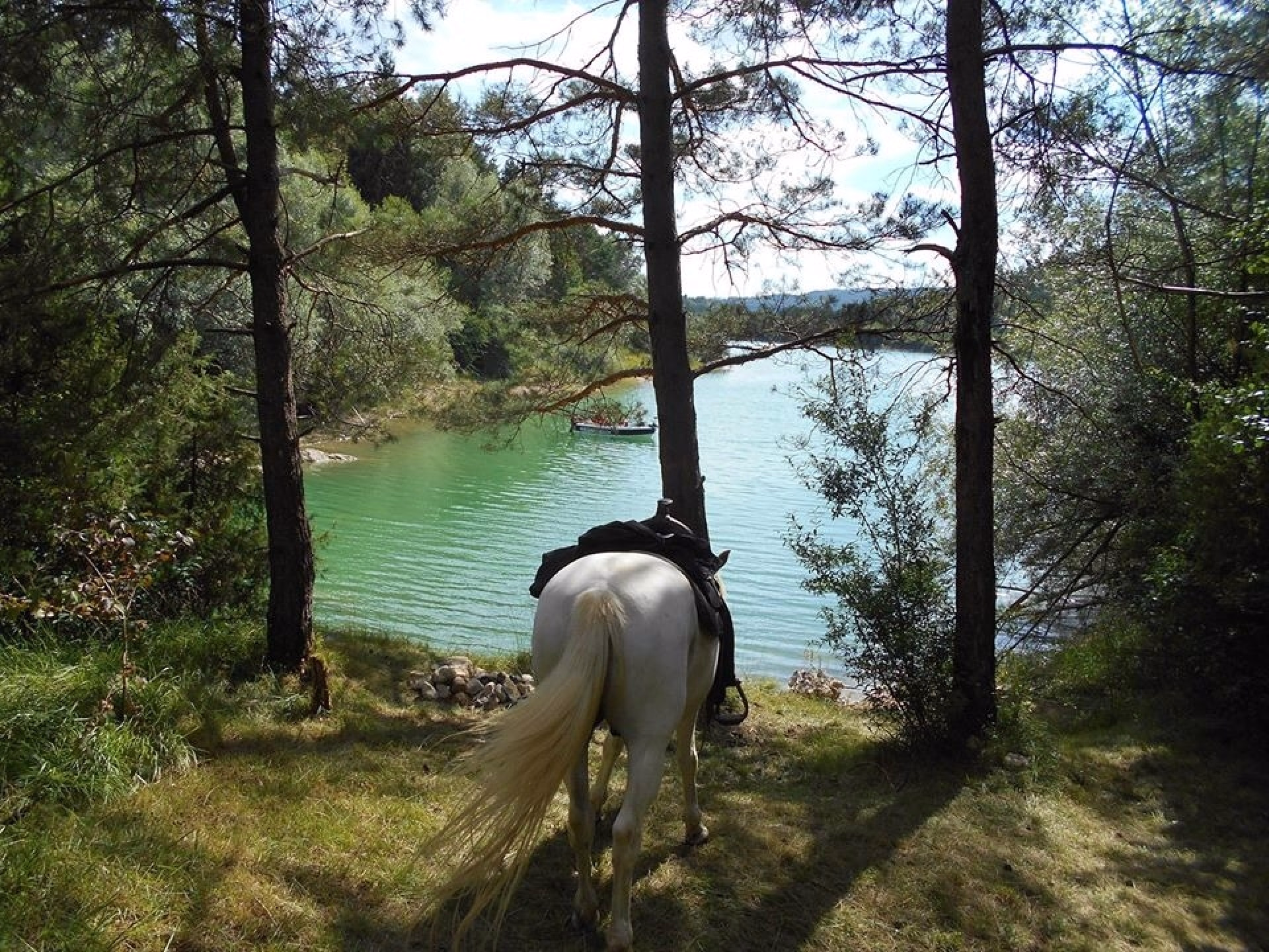 Week-end randonnée équestre au cœur du Haut-Jura