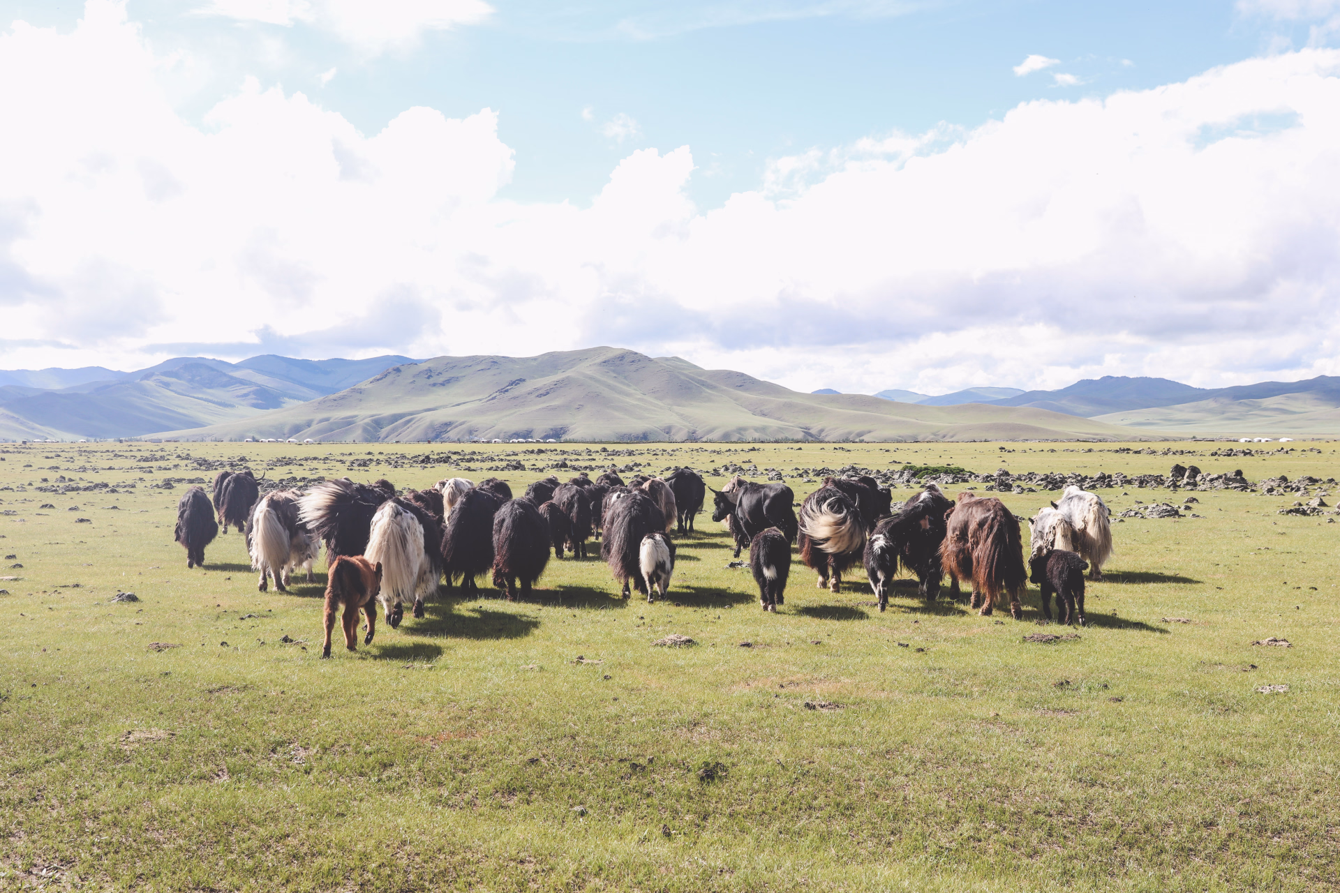 Randonnée à cheval en Mongolie