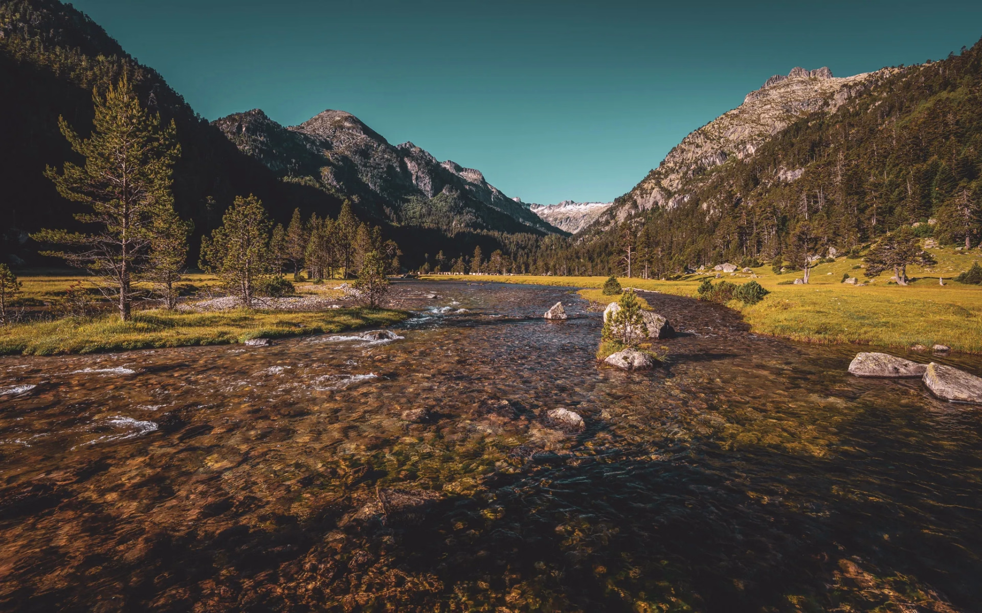 Immersion sauvage et faune des Pyrénées en randonnée