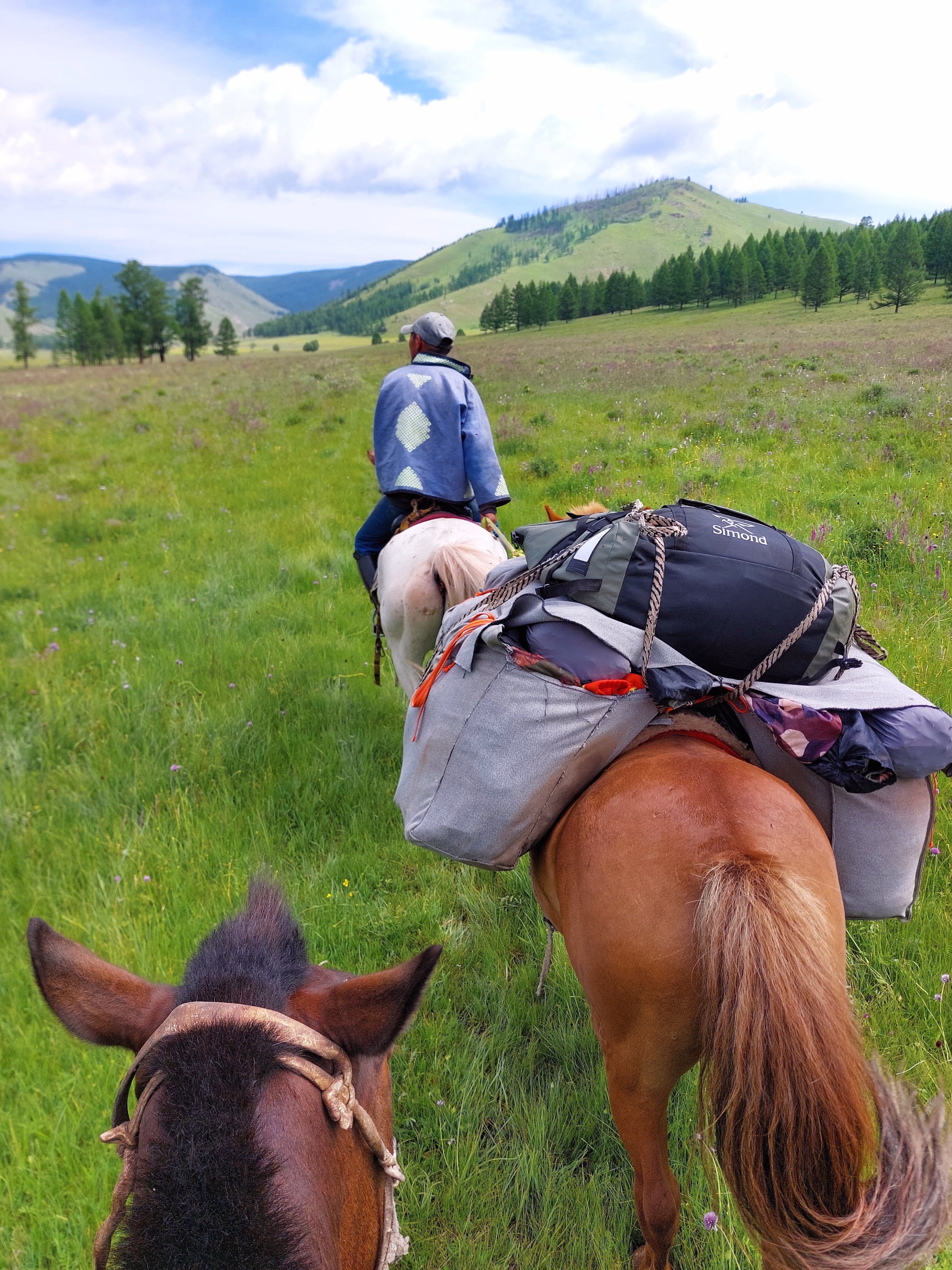 Randonnée à cheval dans le parc national de Terelj en Mongolie