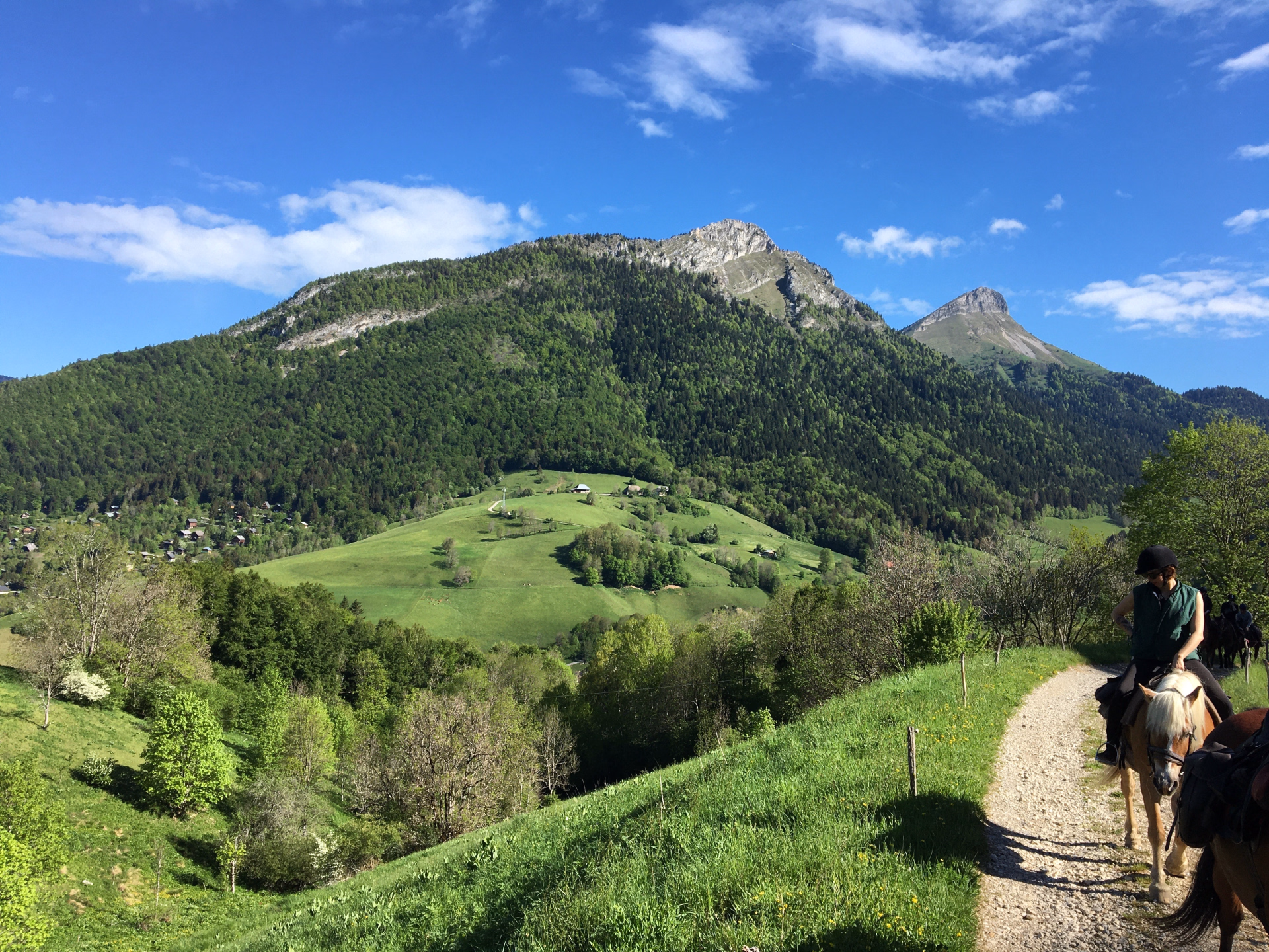 Randonnée à cheval entre forêts et montagnes dans le Massif des Bauges