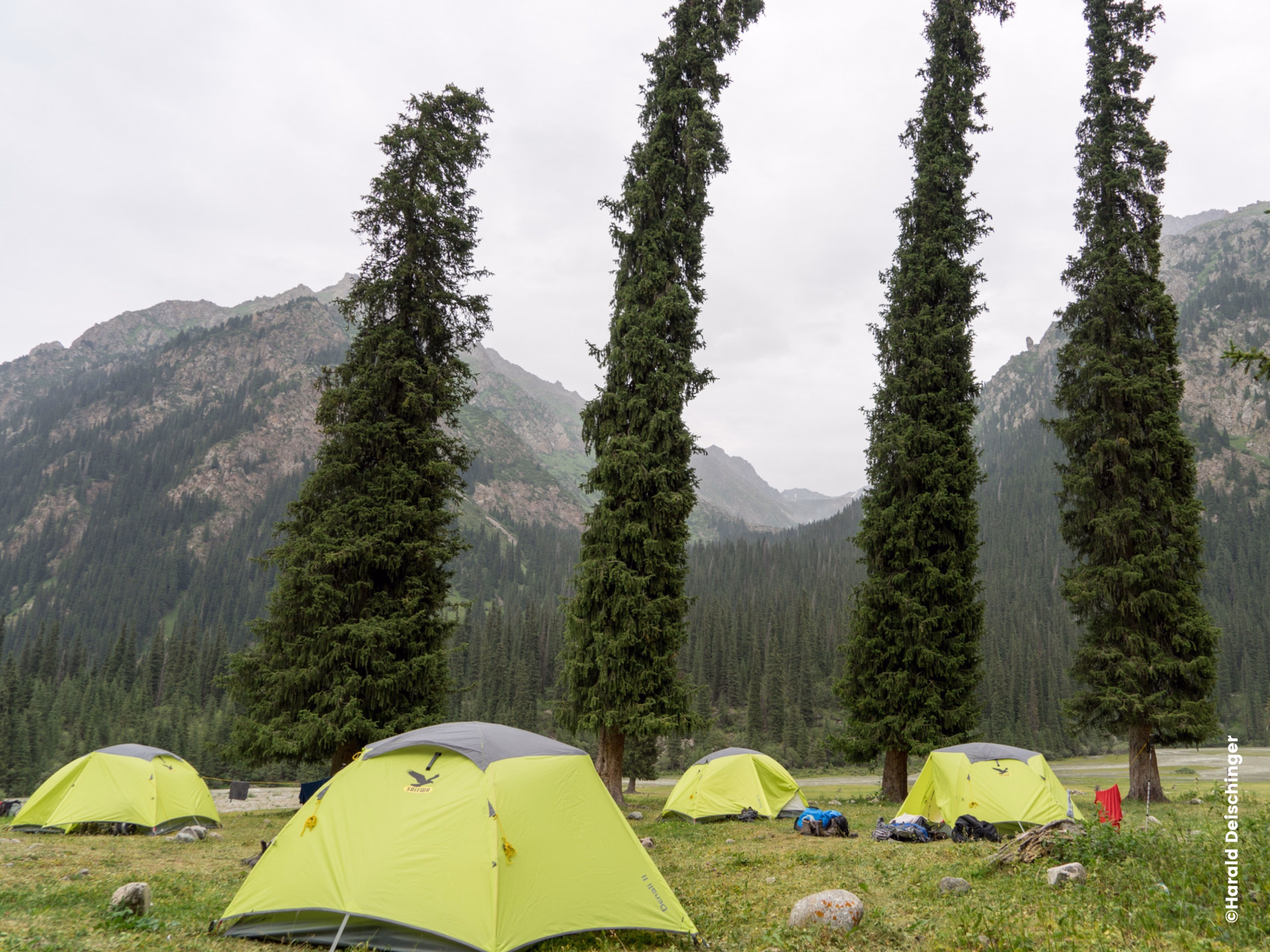 ⛺️ Bivouac/tente - Jours 3 à 4, 8 à 10
