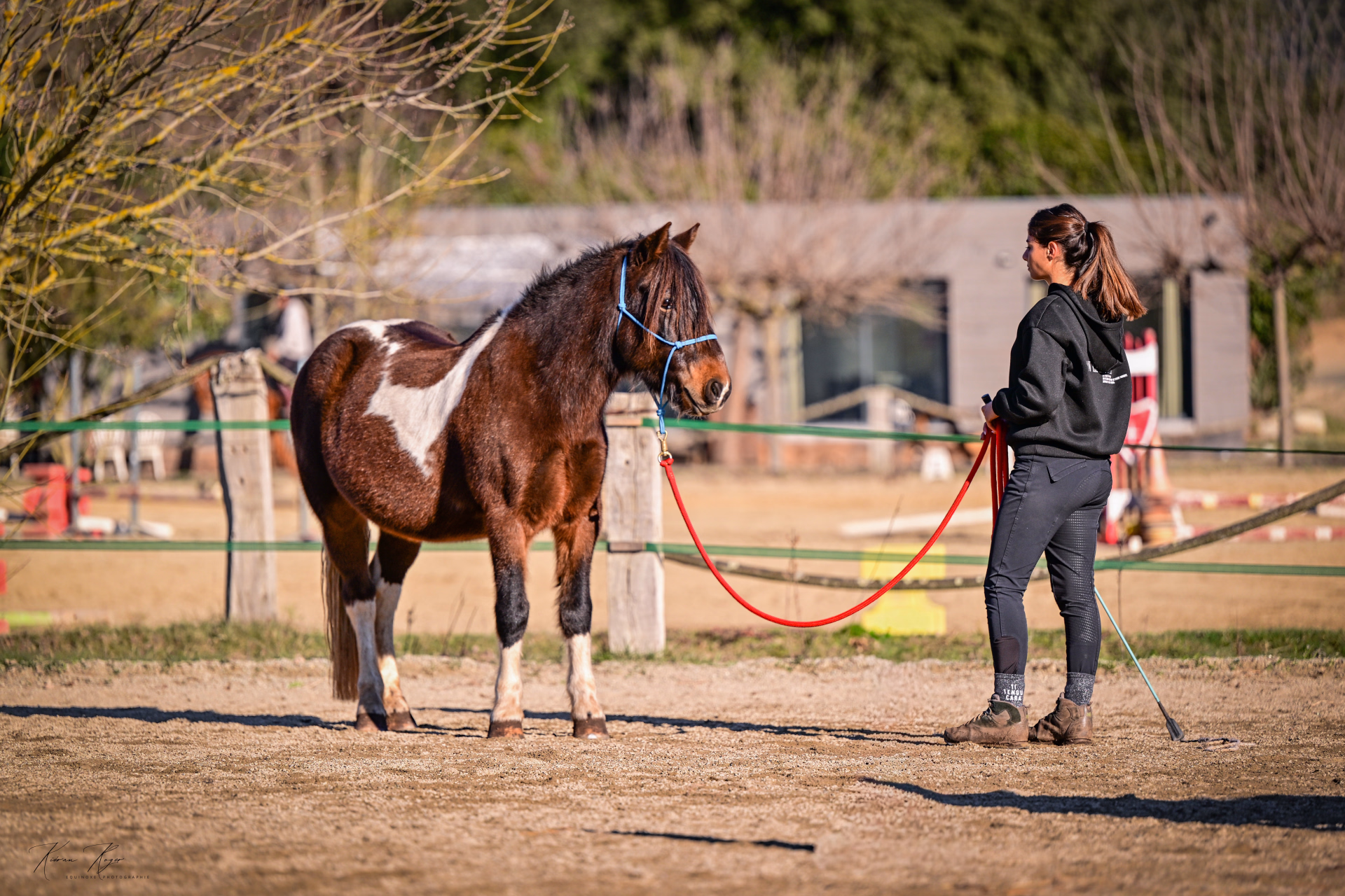 Séjour éthologie à cheval en Corse