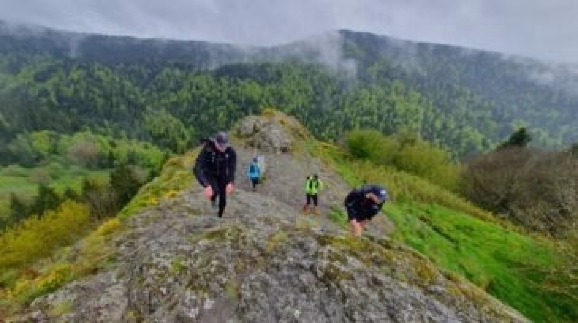 Initiation ou perfectionnement au trail dans le Puy-de-Dôme